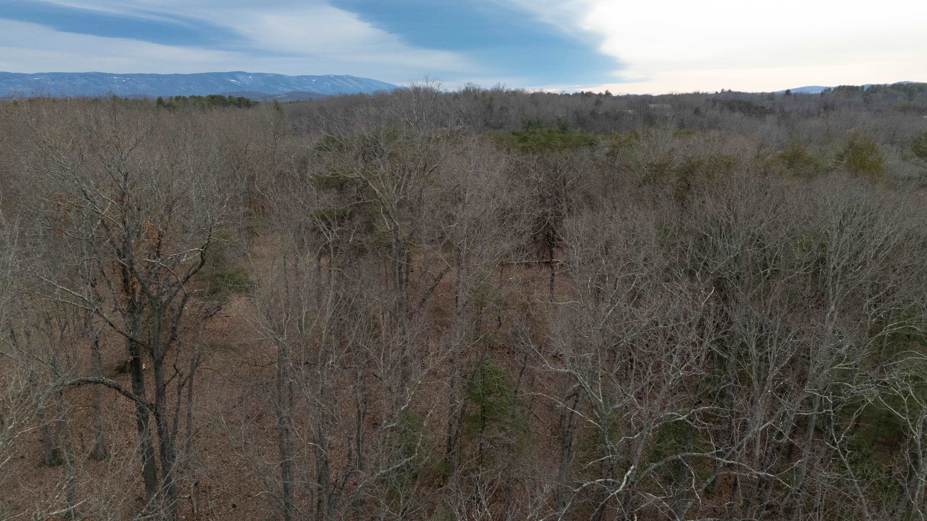 577 HAMMOND LN, STAUNTON, Virginia 24401, ,Land,14,577 HAMMOND LN,673745 MLS # 673745