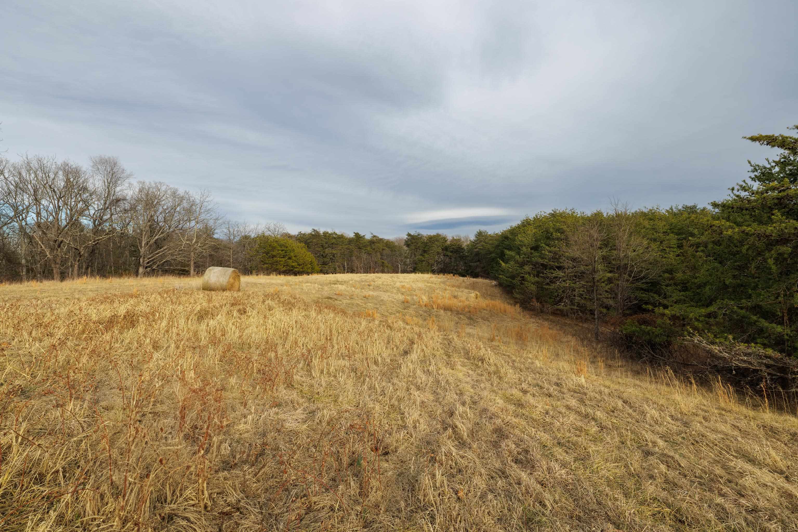 577 HAMMOND LN, STAUNTON, Virginia 24401, ,Land,14,577 HAMMOND LN,673745 MLS # 673745