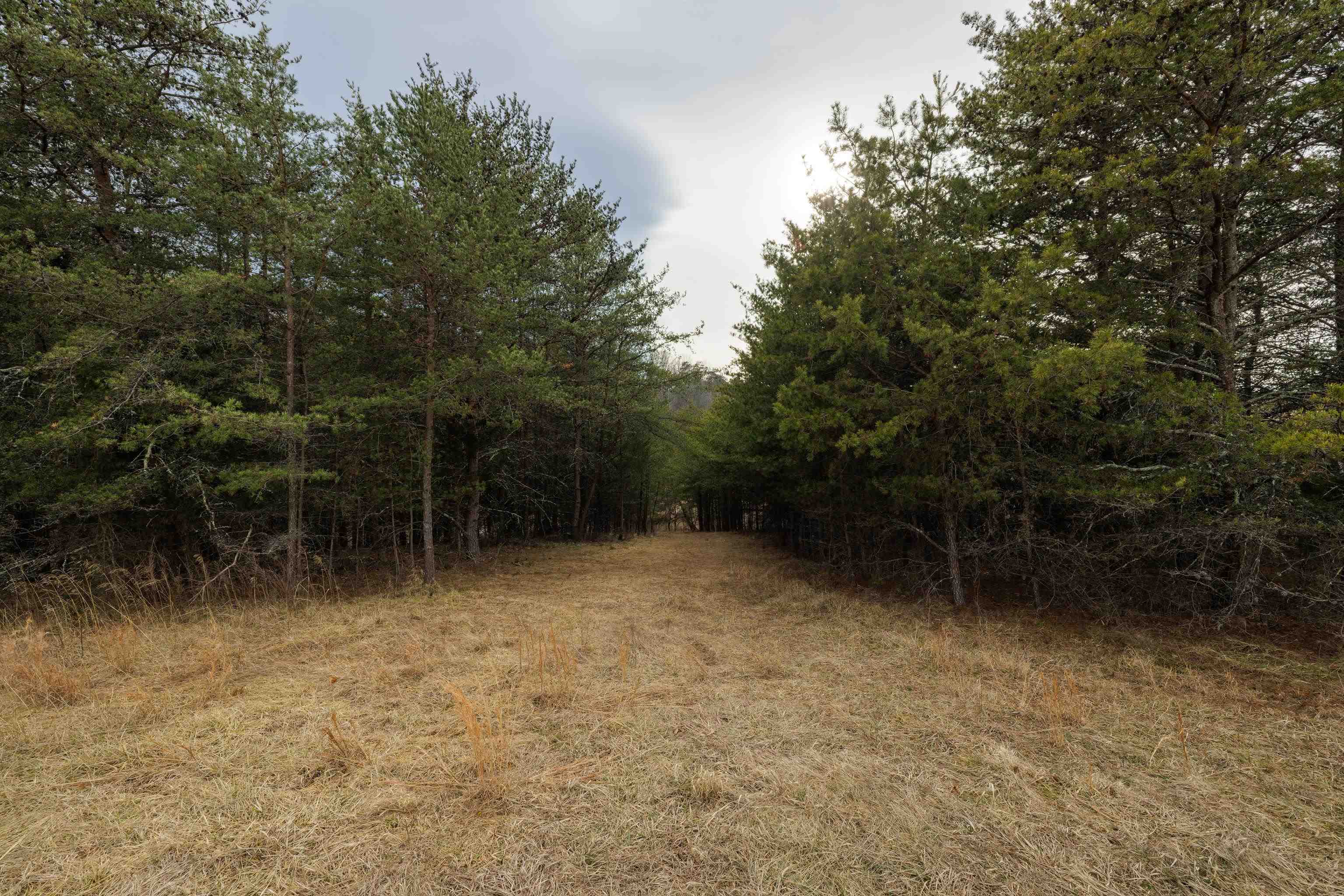 577 HAMMOND LN, STAUNTON, Virginia 24401, ,Land,14,577 HAMMOND LN,673745 MLS # 673745