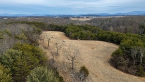 577 HAMMOND LN, STAUNTON, Virginia 24401, ,Land,14,577 HAMMOND LN,673745 MLS # 673745