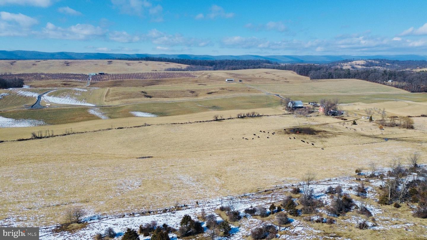 4080 FLAT ROCK RD, QUICKSBURG, Virginia 22847, ,Farm,For Sale,4080 FLAT ROCK RD,VASH2013508 MLS # VASH2013508