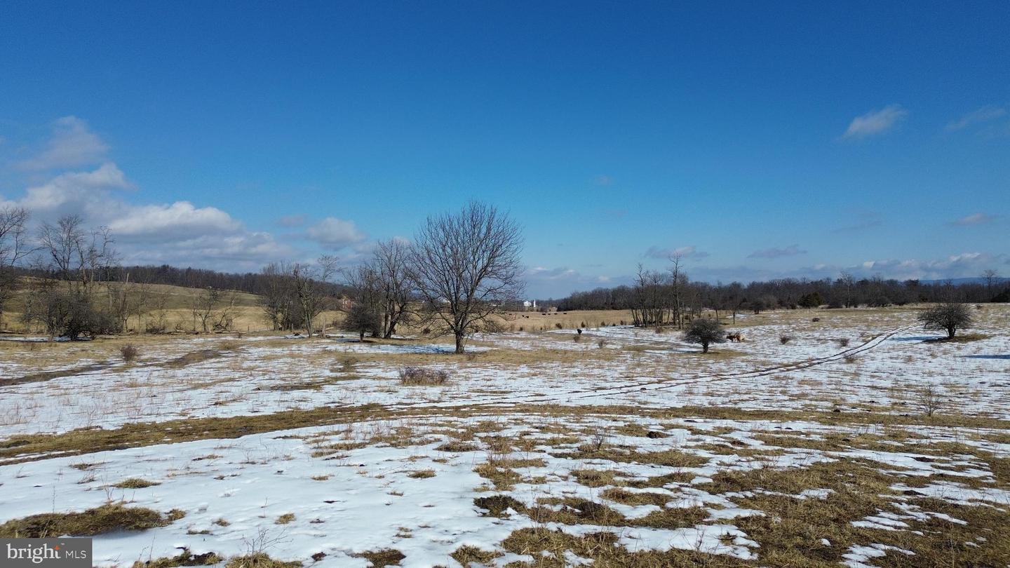 4080 FLAT ROCK RD, QUICKSBURG, Virginia 22847, ,Farm,For Sale,4080 FLAT ROCK RD,VASH2013508 MLS # VASH2013508