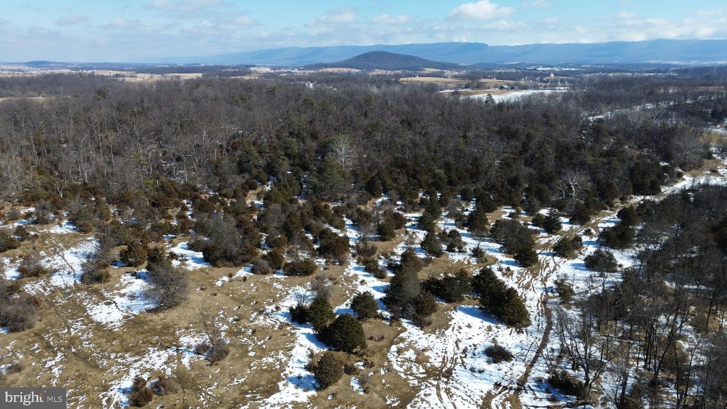 4080 FLAT ROCK RD, QUICKSBURG, Virginia 22847, ,Farm,For Sale,4080 FLAT ROCK RD,VASH2013508 MLS # VASH2013508