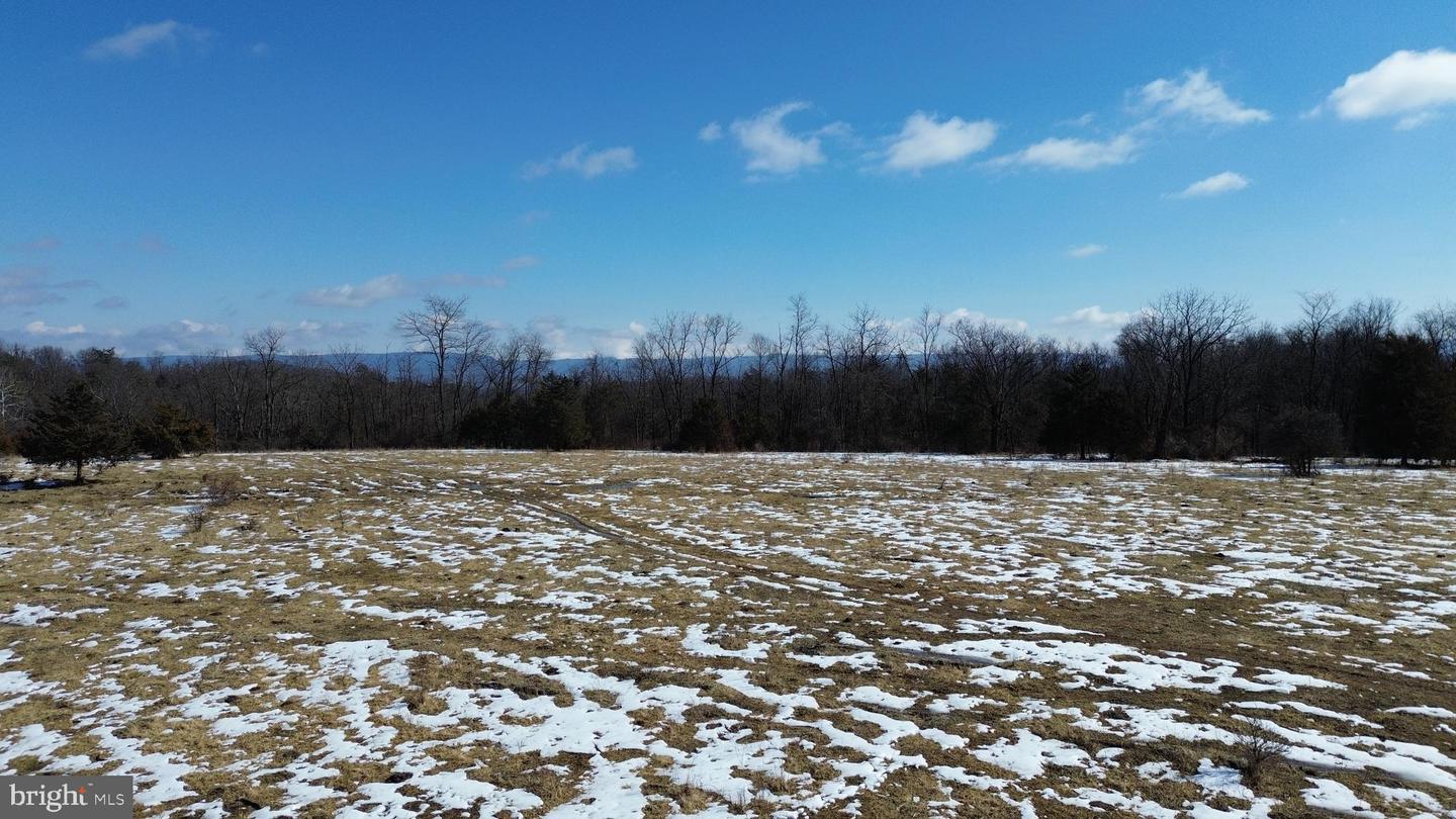 4080 FLAT ROCK RD, QUICKSBURG, Virginia 22847, ,Farm,For Sale,4080 FLAT ROCK RD,VASH2013508 MLS # VASH2013508