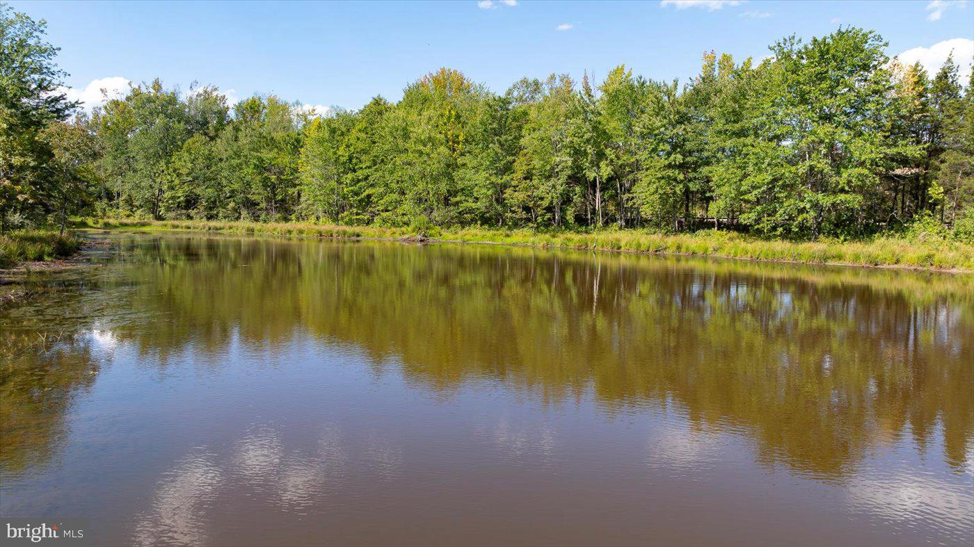 1416 WARRENTON RD, FREDERICKSBURG, Virginia 22406, 3 Bedrooms Bedrooms, ,1 BathroomBathrooms,Residential,For Sale,1416 WARRENTON RD,VAST2045958 MLS # VAST2045958