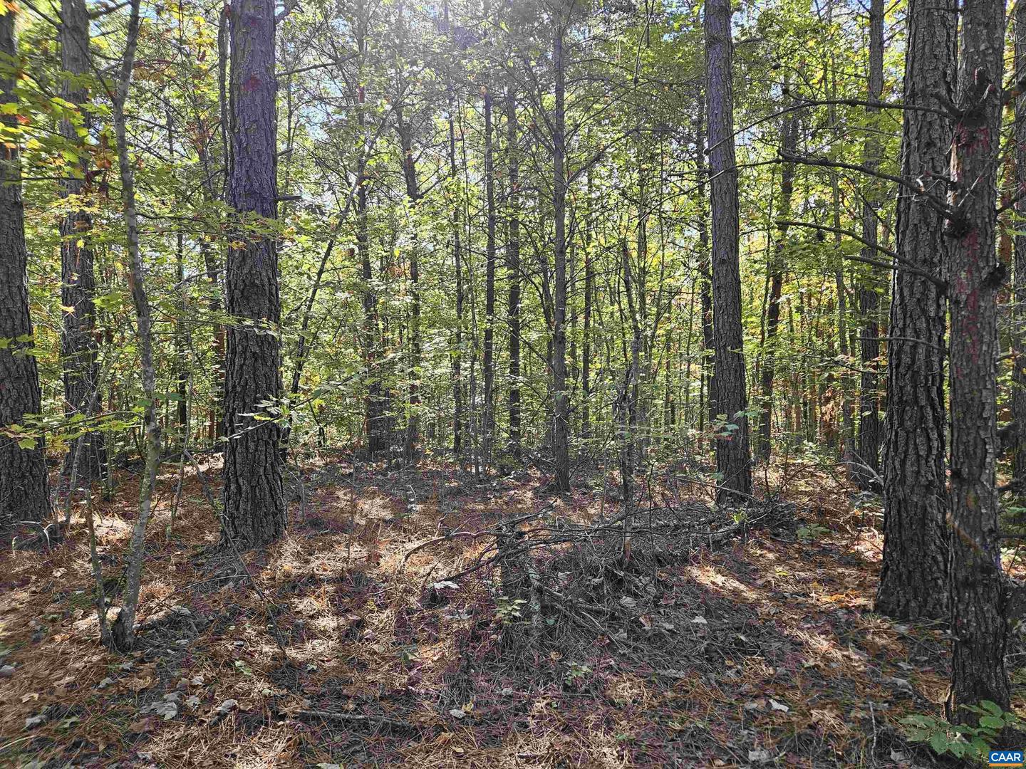 10239 HOWARDSVILLE RD, HOWARDSVILLE, Virginia 24562, 2 Bedrooms Bedrooms, ,1 BathroomBathrooms,Residential,For Sale,10239 HOWARDSVILLE RD,673720 MLS # 673720 10239 HOWARDSVILLE RD, HOWARDSVILLE, Virginia 24562, 2 Bedrooms Bedrooms, ,1 BathroomBathrooms,Residential,For Sale,10239 HOWARDSVILLE RD,673720 MLS # 673720