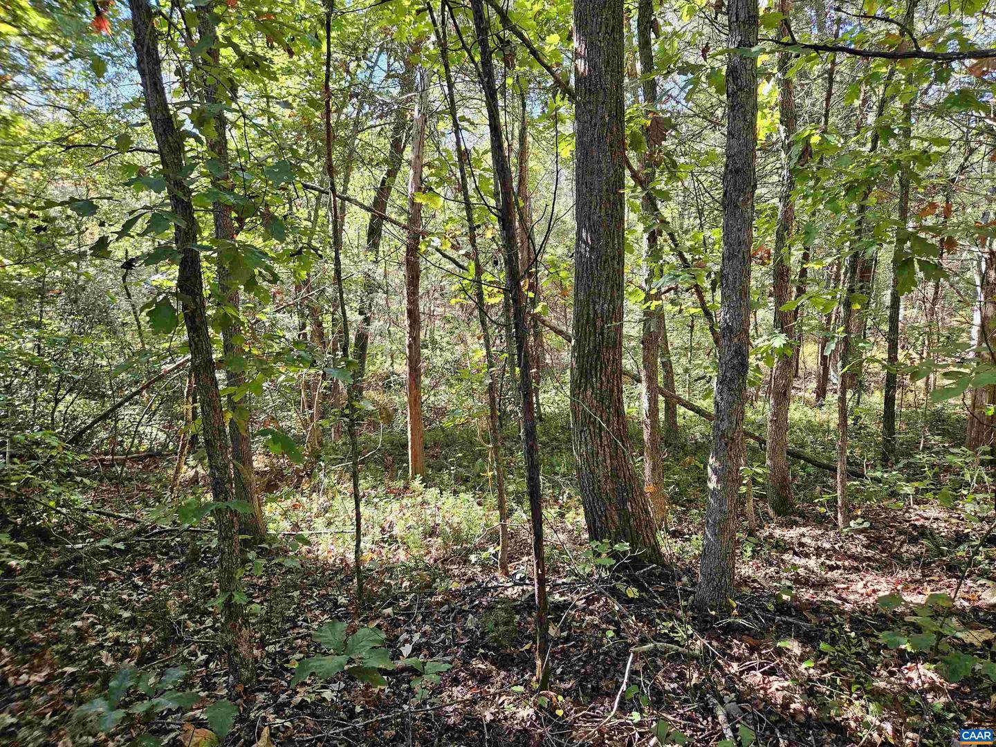 10239 HOWARDSVILLE RD, HOWARDSVILLE, Virginia 24562, 2 Bedrooms Bedrooms, ,1 BathroomBathrooms,Residential,For Sale,10239 HOWARDSVILLE RD,673720 MLS # 673720 10239 HOWARDSVILLE RD, HOWARDSVILLE, Virginia 24562, 2 Bedrooms Bedrooms, ,1 BathroomBathrooms,Residential,For Sale,10239 HOWARDSVILLE RD,673720 MLS # 673720