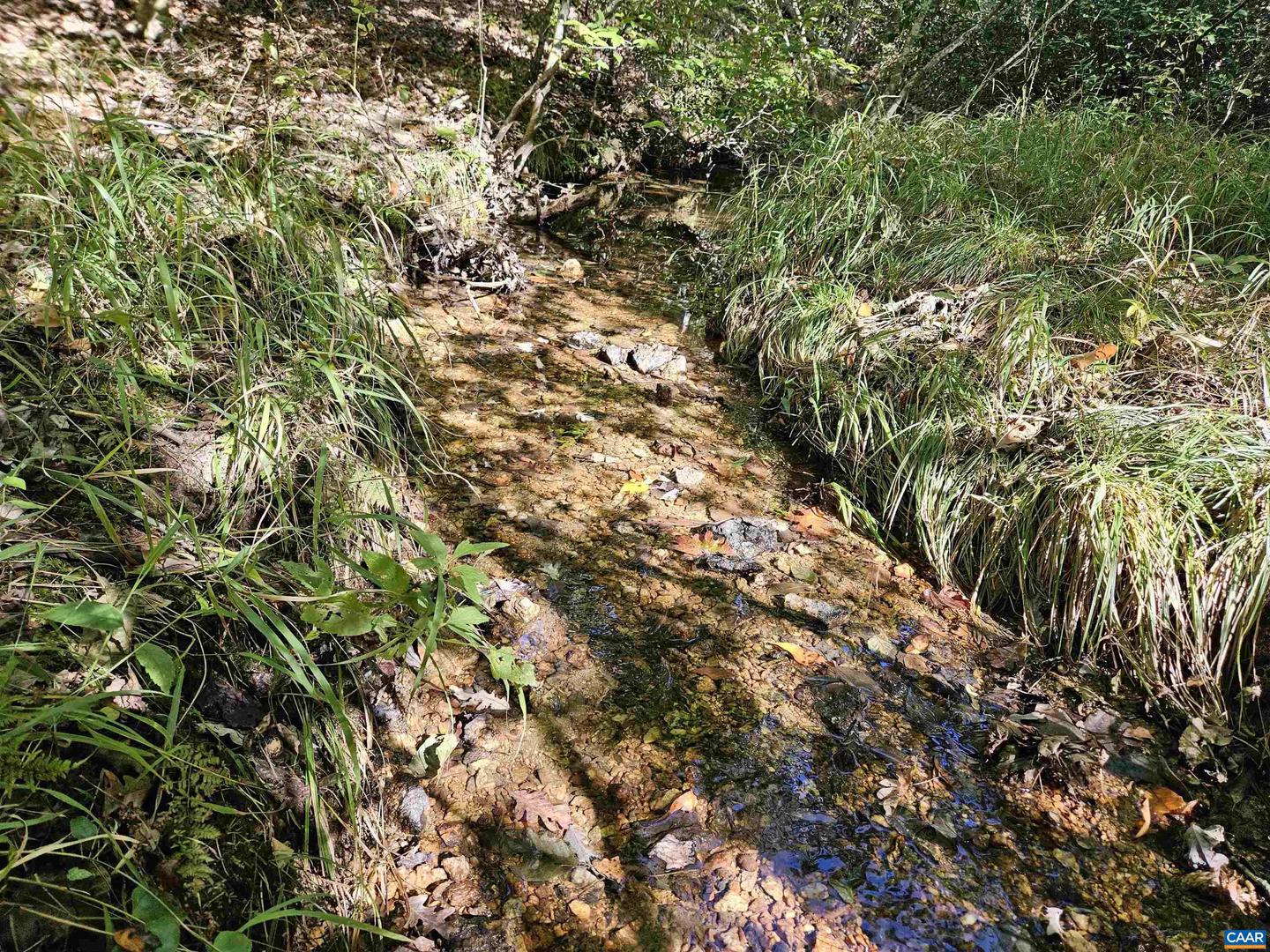 10239 HOWARDSVILLE RD, HOWARDSVILLE, Virginia 24562, 2 Bedrooms Bedrooms, ,1 BathroomBathrooms,Residential,For Sale,10239 HOWARDSVILLE RD,673720 MLS # 673720 10239 HOWARDSVILLE RD, HOWARDSVILLE, Virginia 24562, 2 Bedrooms Bedrooms, ,1 BathroomBathrooms,Residential,For Sale,10239 HOWARDSVILLE RD,673720 MLS # 673720