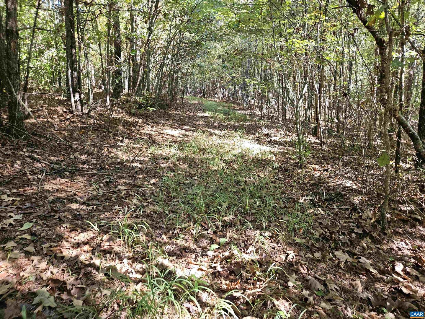 10239 HOWARDSVILLE RD, HOWARDSVILLE, Virginia 24562, 2 Bedrooms Bedrooms, ,1 BathroomBathrooms,Residential,For Sale,10239 HOWARDSVILLE RD,673720 MLS # 673720 10239 HOWARDSVILLE RD, HOWARDSVILLE, Virginia 24562, 2 Bedrooms Bedrooms, ,1 BathroomBathrooms,Residential,For Sale,10239 HOWARDSVILLE RD,673720 MLS # 673720