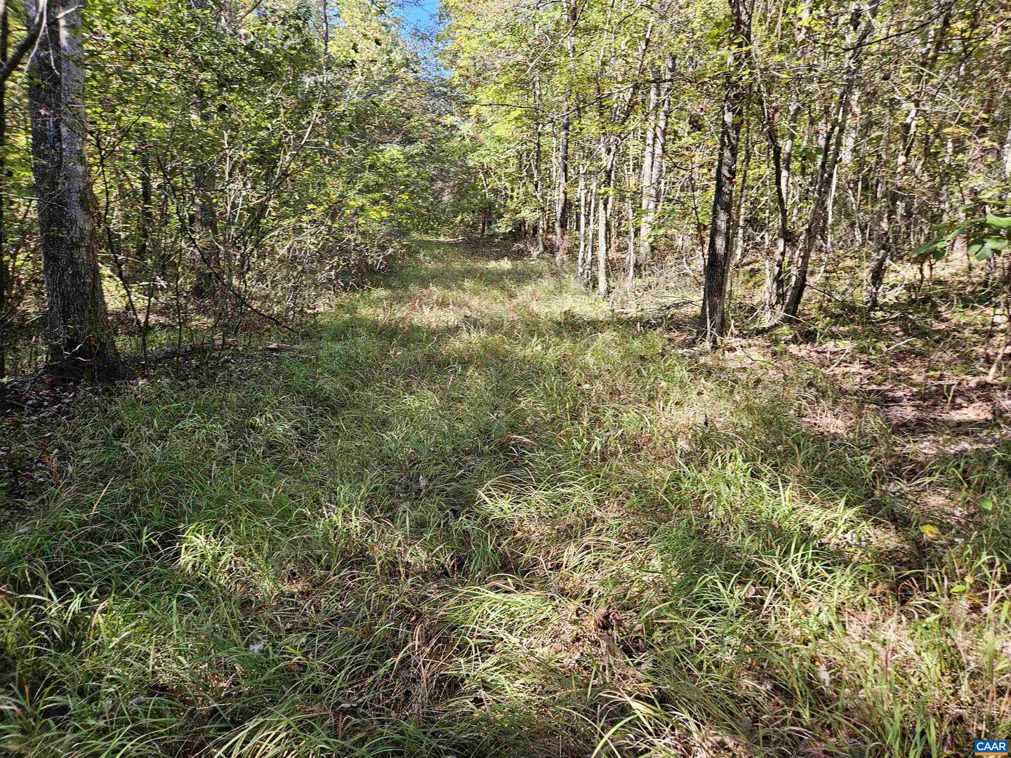 10239 HOWARDSVILLE RD, HOWARDSVILLE, Virginia 24562, 2 Bedrooms Bedrooms, ,1 BathroomBathrooms,Residential,For Sale,10239 HOWARDSVILLE RD,673720 MLS # 673720 10239 HOWARDSVILLE RD, HOWARDSVILLE, Virginia 24562, 2 Bedrooms Bedrooms, ,1 BathroomBathrooms,Residential,For Sale,10239 HOWARDSVILLE RD,673720 MLS # 673720