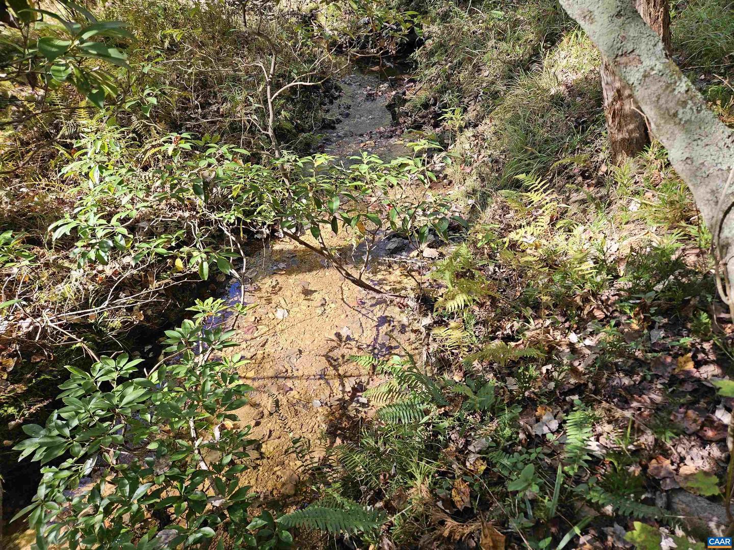 10239 HOWARDSVILLE RD, HOWARDSVILLE, Virginia 24562, 2 Bedrooms Bedrooms, ,1 BathroomBathrooms,Residential,For Sale,10239 HOWARDSVILLE RD,673720 MLS # 673720 10239 HOWARDSVILLE RD, HOWARDSVILLE, Virginia 24562, 2 Bedrooms Bedrooms, ,1 BathroomBathrooms,Residential,For Sale,10239 HOWARDSVILLE RD,673720 MLS # 673720