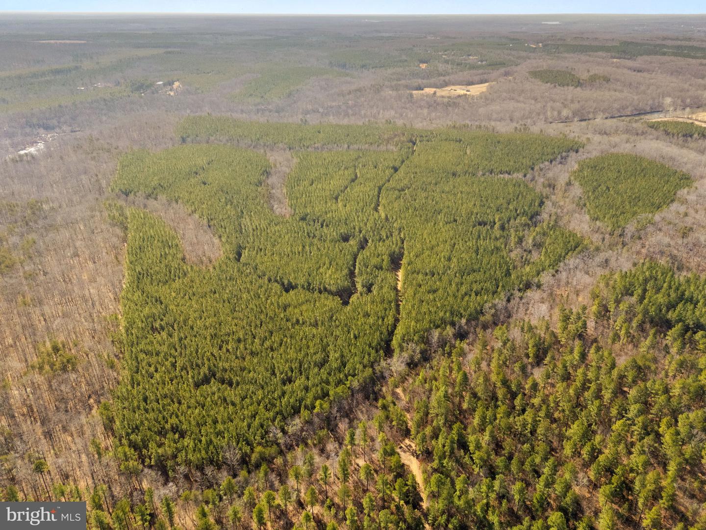 OFF SNAKE CASTLE ROAD, SUMERDUCK, Virginia 22742, ,Farm,For Sale,OFF SNAKE CASTLE ROAD,VAFQ2020476 MLS # VAFQ2020476