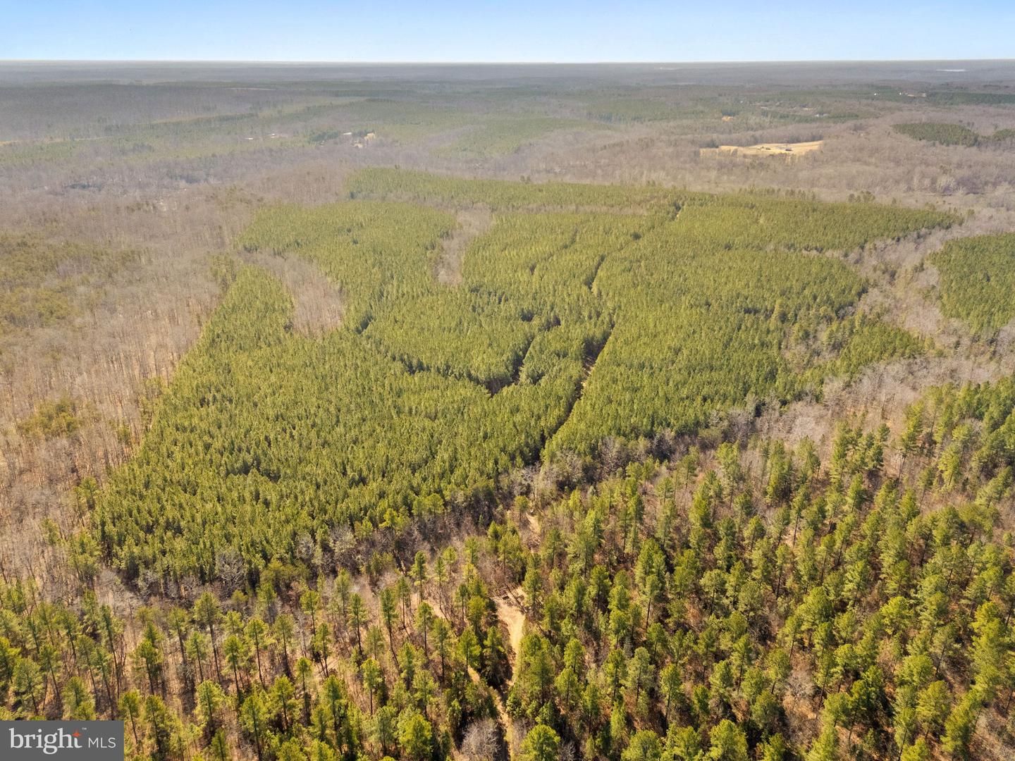 OFF SNAKE CASTLE ROAD, SUMERDUCK, Virginia 22742, ,Farm,For Sale,OFF SNAKE CASTLE ROAD,VAFQ2020476 MLS # VAFQ2020476