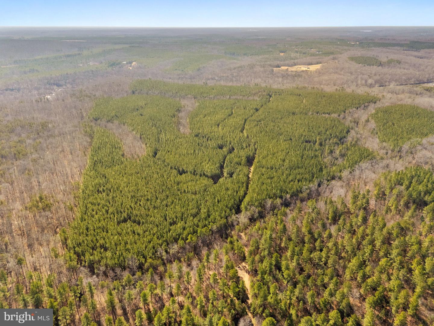 OFF SNAKE CASTLE ROAD, SUMERDUCK, Virginia 22742, ,Farm,For Sale,OFF SNAKE CASTLE ROAD,VAFQ2020476 MLS # VAFQ2020476