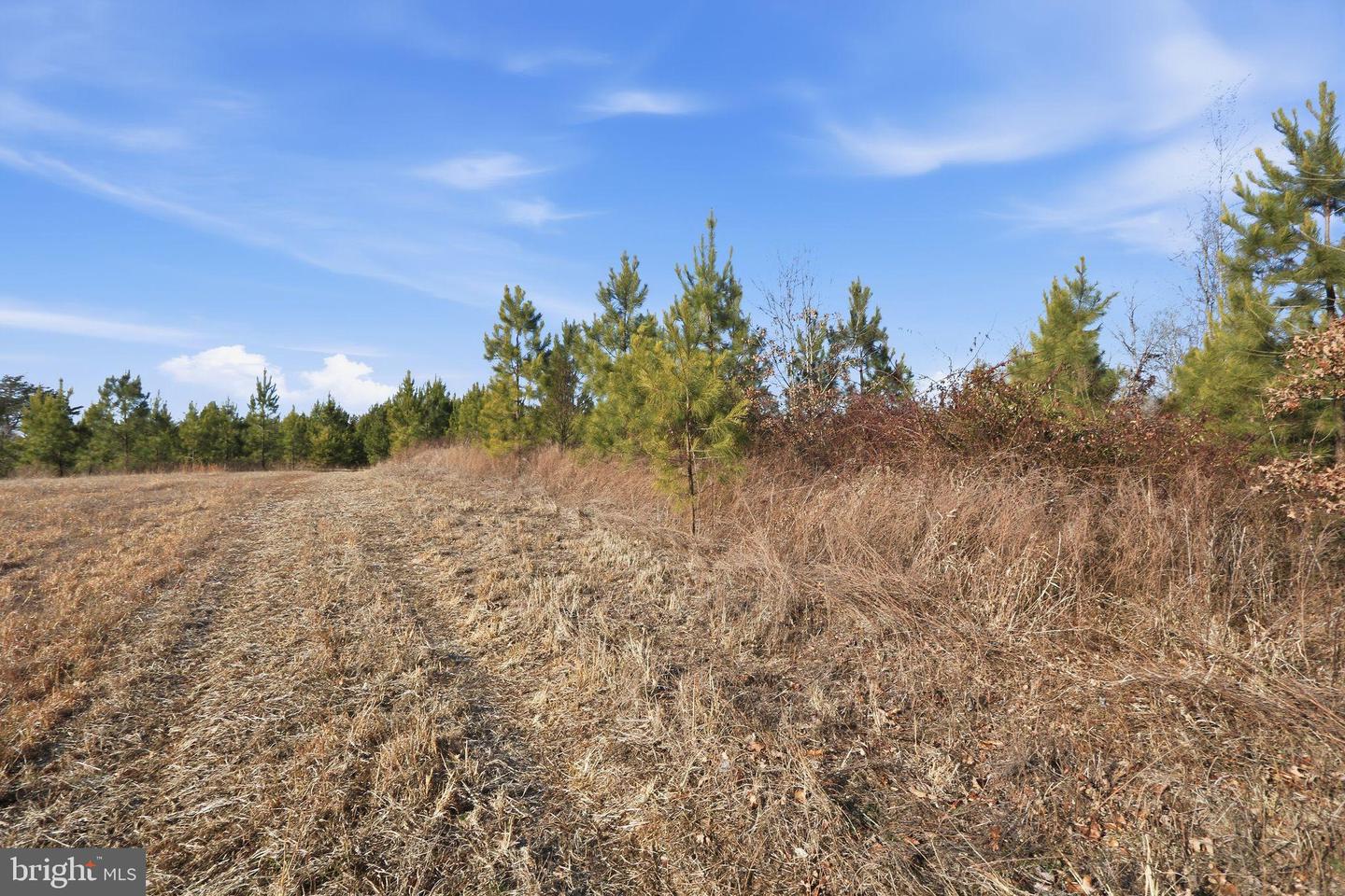 15284 POPLAR RD, ORANGE, Virginia 22960, 4 Bedrooms Bedrooms, ,1 BathroomBathrooms,Farm,For Sale,15284 POPLAR RD,VAOR2013184 MLS # VAOR2013184 15284 POPLAR RD, ORANGE, Virginia 22960, 4 Bedrooms Bedrooms, ,1 BathroomBathrooms,Farm,For Sale,15284 POPLAR RD,VAOR2013184 MLS # VAOR2013184