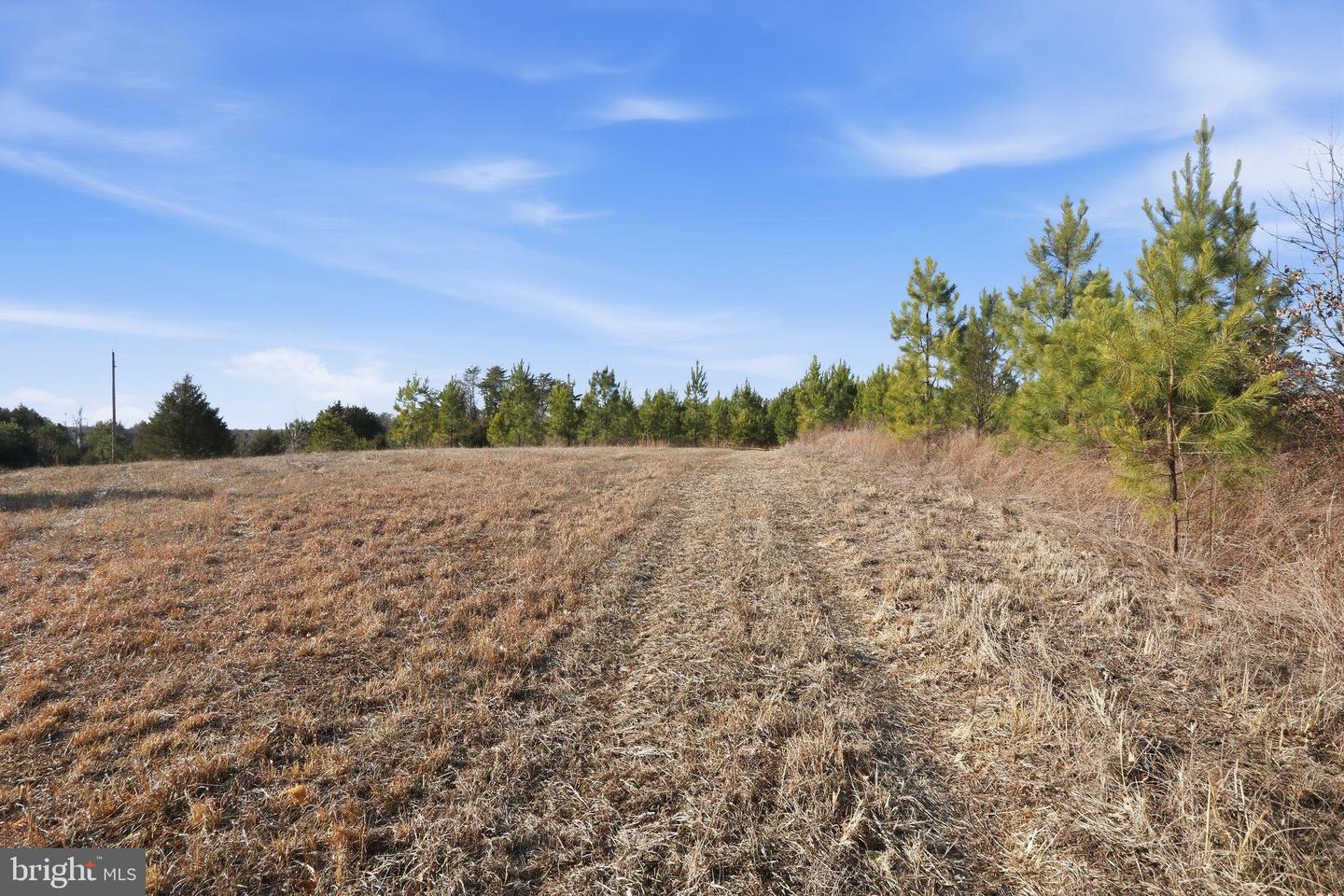 15284 POPLAR RD, ORANGE, Virginia 22960, 4 Bedrooms Bedrooms, ,1 BathroomBathrooms,Farm,For Sale,15284 POPLAR RD,VAOR2013184 MLS # VAOR2013184 15284 POPLAR RD, ORANGE, Virginia 22960, 4 Bedrooms Bedrooms, ,1 BathroomBathrooms,Farm,For Sale,15284 POPLAR RD,VAOR2013184 MLS # VAOR2013184