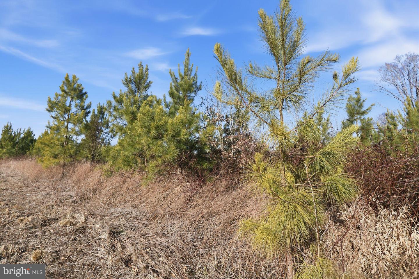 15284 POPLAR RD, ORANGE, Virginia 22960, 4 Bedrooms Bedrooms, ,1 BathroomBathrooms,Farm,For Sale,15284 POPLAR RD,VAOR2013184 MLS # VAOR2013184 15284 POPLAR RD, ORANGE, Virginia 22960, 4 Bedrooms Bedrooms, ,1 BathroomBathrooms,Farm,For Sale,15284 POPLAR RD,VAOR2013184 MLS # VAOR2013184