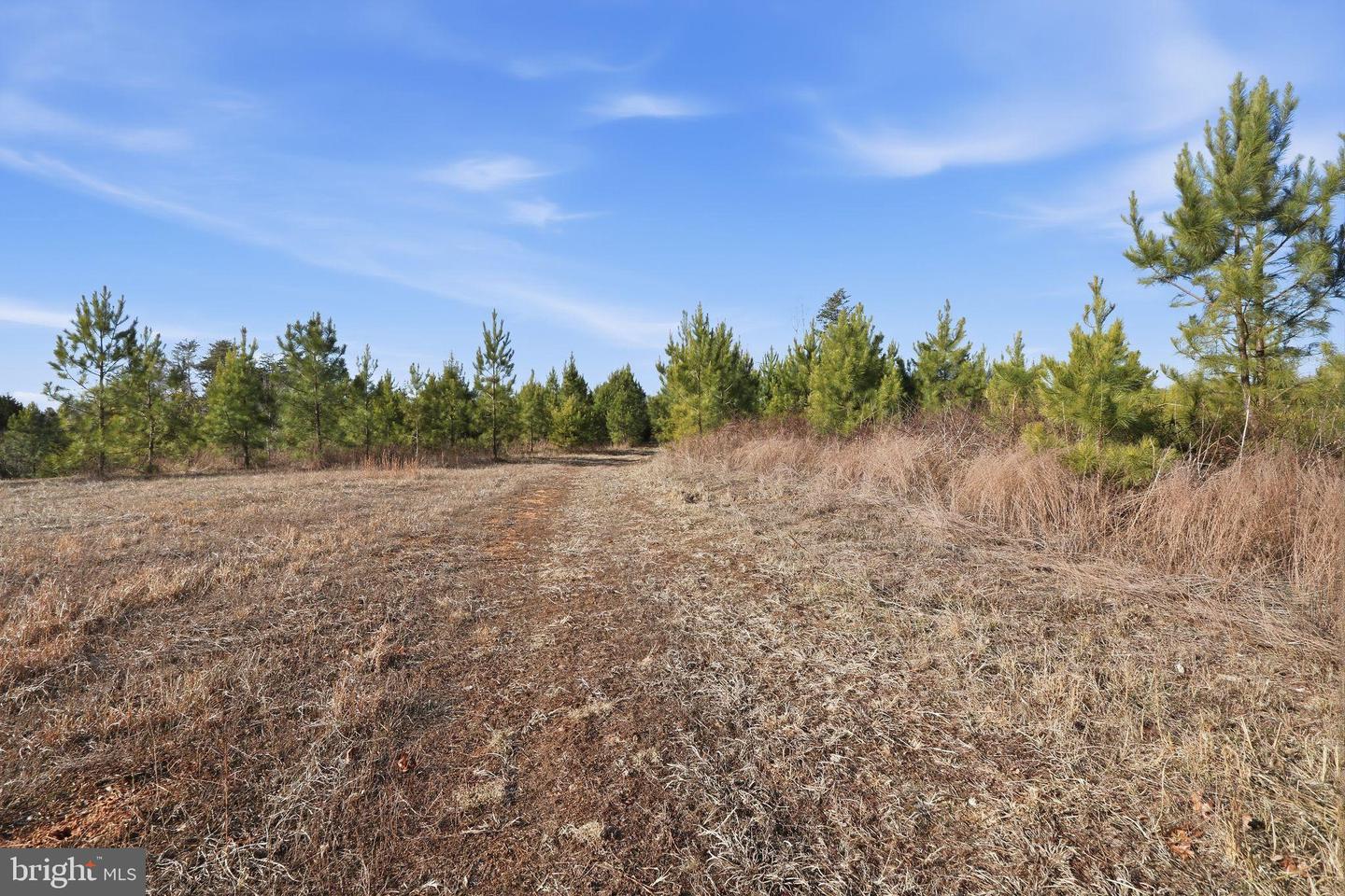 15284 POPLAR RD, ORANGE, Virginia 22960, 4 Bedrooms Bedrooms, ,1 BathroomBathrooms,Farm,For Sale,15284 POPLAR RD,VAOR2013184 MLS # VAOR2013184 15284 POPLAR RD, ORANGE, Virginia 22960, 4 Bedrooms Bedrooms, ,1 BathroomBathrooms,Farm,For Sale,15284 POPLAR RD,VAOR2013184 MLS # VAOR2013184