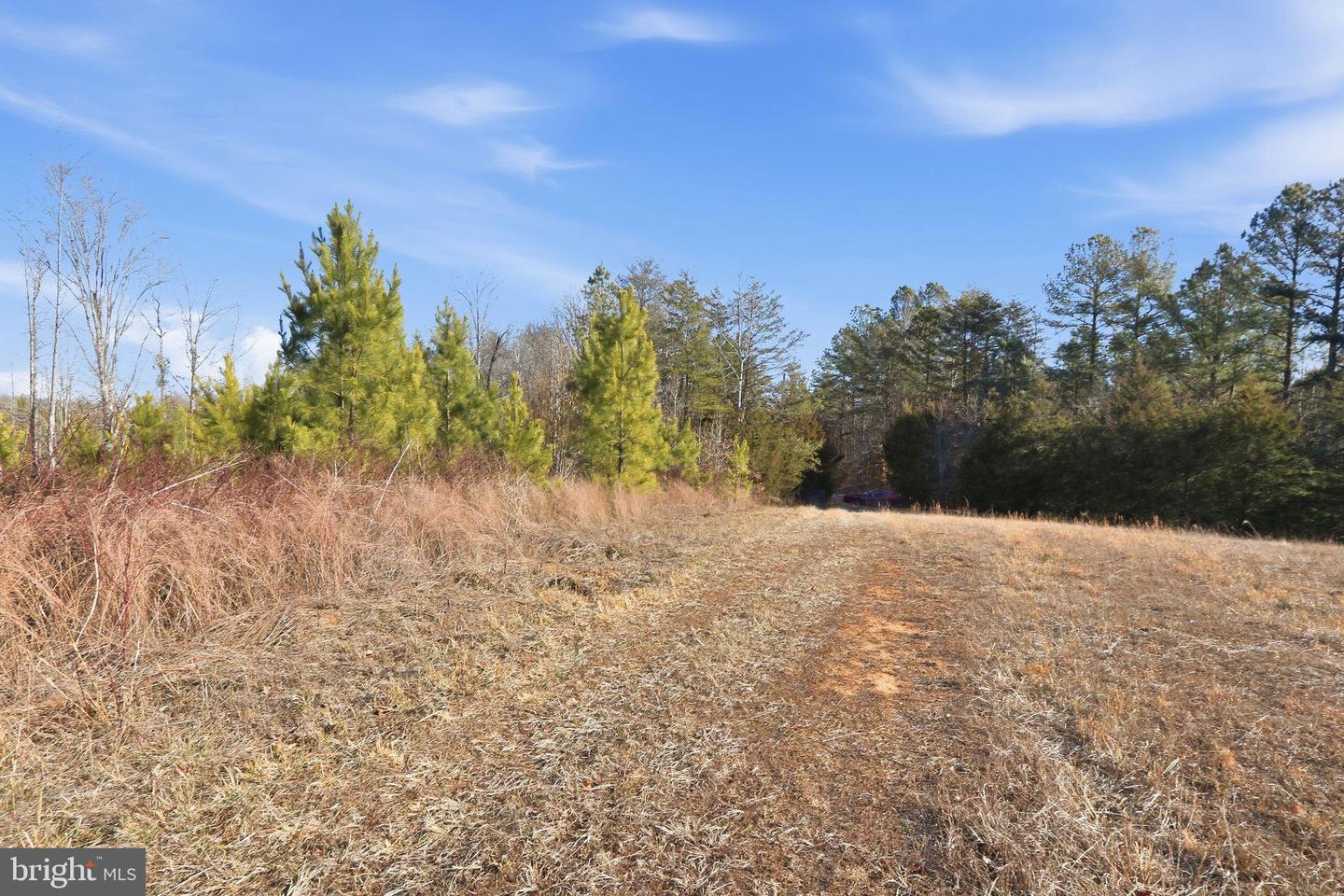 15284 POPLAR RD, ORANGE, Virginia 22960, 4 Bedrooms Bedrooms, ,1 BathroomBathrooms,Farm,For Sale,15284 POPLAR RD,VAOR2013184 MLS # VAOR2013184 15284 POPLAR RD, ORANGE, Virginia 22960, 4 Bedrooms Bedrooms, ,1 BathroomBathrooms,Farm,For Sale,15284 POPLAR RD,VAOR2013184 MLS # VAOR2013184