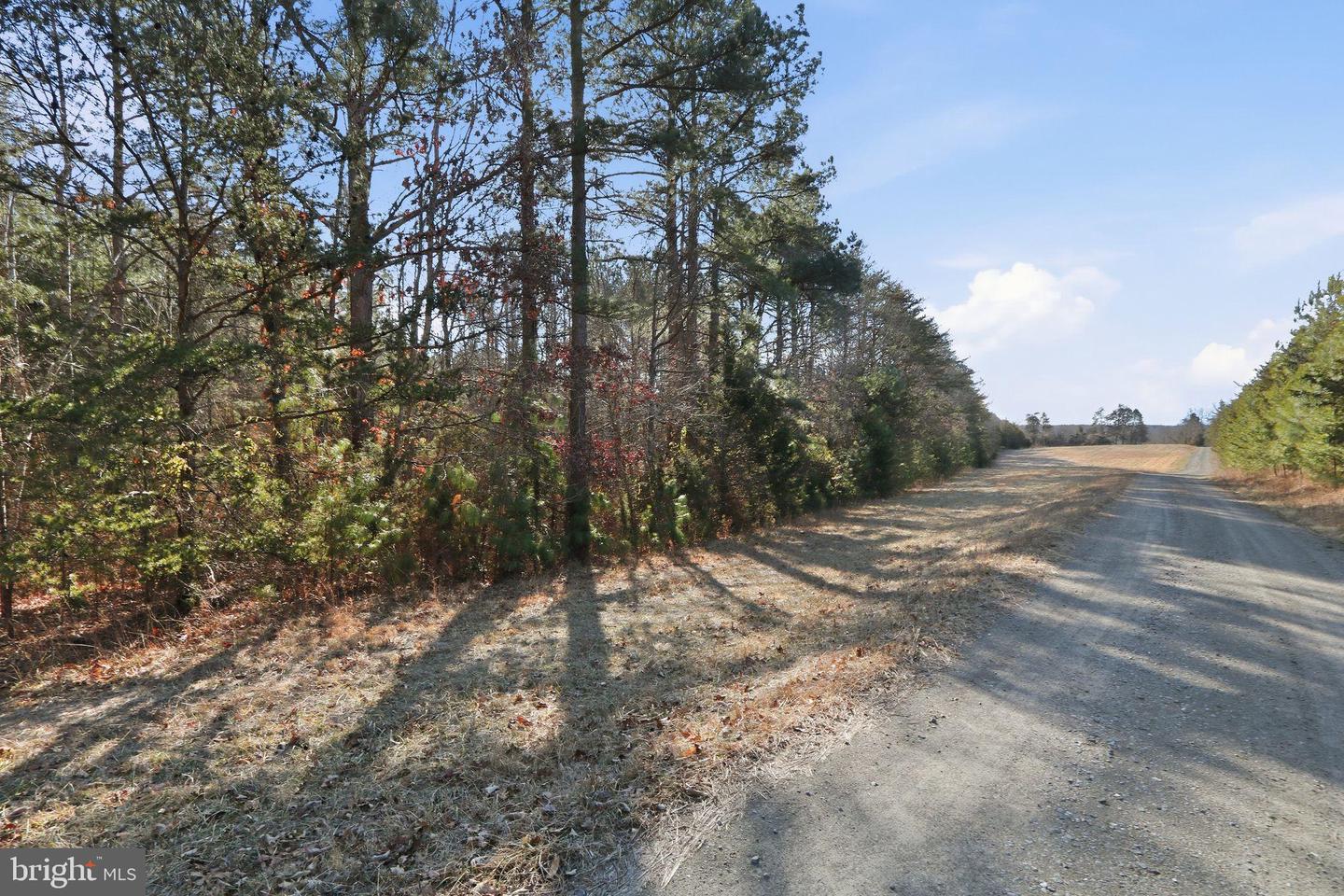 15284 POPLAR RD, ORANGE, Virginia 22960, 4 Bedrooms Bedrooms, ,1 BathroomBathrooms,Farm,For Sale,15284 POPLAR RD,VAOR2013184 MLS # VAOR2013184 15284 POPLAR RD, ORANGE, Virginia 22960, 4 Bedrooms Bedrooms, ,1 BathroomBathrooms,Farm,For Sale,15284 POPLAR RD,VAOR2013184 MLS # VAOR2013184