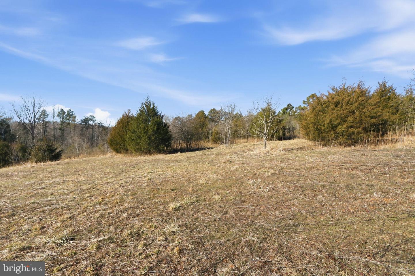 15284 POPLAR RD, ORANGE, Virginia 22960, 4 Bedrooms Bedrooms, ,1 BathroomBathrooms,Farm,For Sale,15284 POPLAR RD,VAOR2013184 MLS # VAOR2013184 15284 POPLAR RD, ORANGE, Virginia 22960, 4 Bedrooms Bedrooms, ,1 BathroomBathrooms,Farm,For Sale,15284 POPLAR RD,VAOR2013184 MLS # VAOR2013184