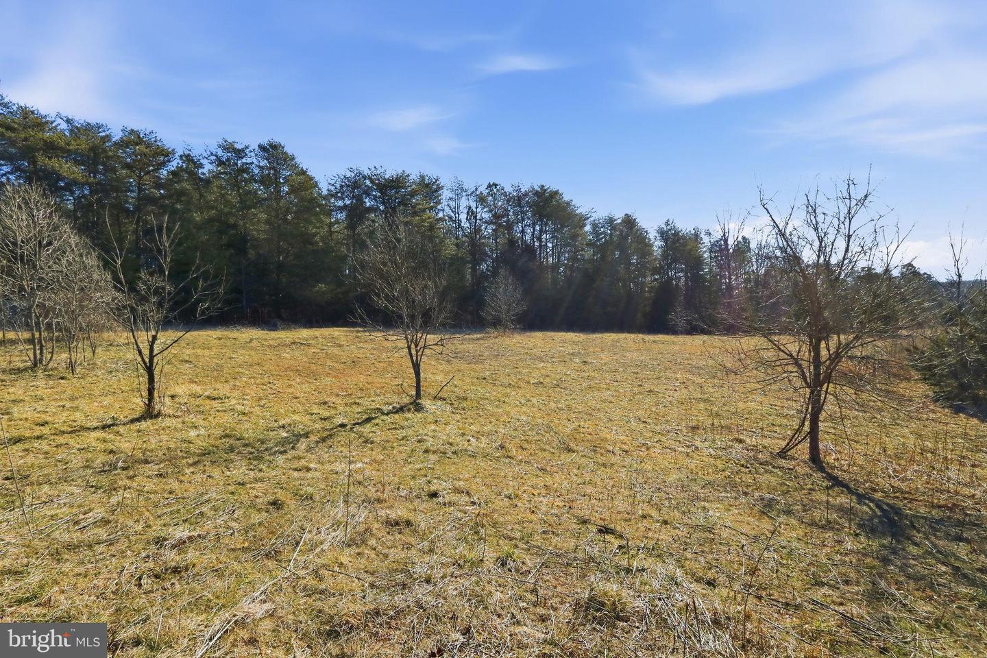 15284 POPLAR RD, ORANGE, Virginia 22960, 4 Bedrooms Bedrooms, ,1 BathroomBathrooms,Farm,For Sale,15284 POPLAR RD,VAOR2013184 MLS # VAOR2013184 15284 POPLAR RD, ORANGE, Virginia 22960, 4 Bedrooms Bedrooms, ,1 BathroomBathrooms,Farm,For Sale,15284 POPLAR RD,VAOR2013184 MLS # VAOR2013184