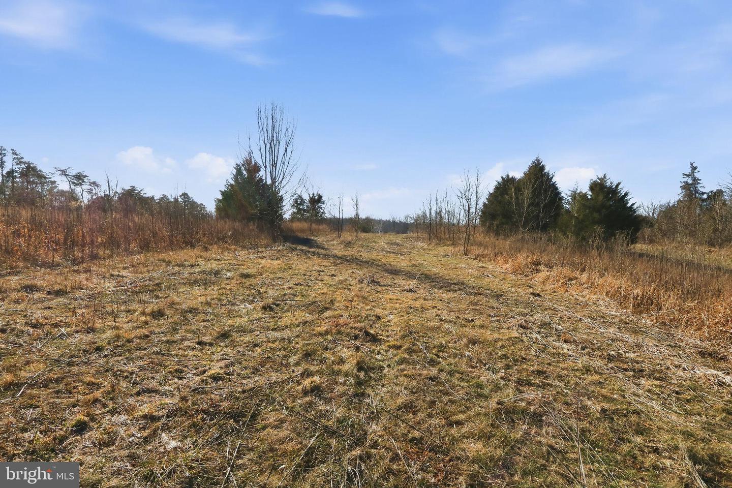 15284 POPLAR RD, ORANGE, Virginia 22960, 4 Bedrooms Bedrooms, ,1 BathroomBathrooms,Farm,For Sale,15284 POPLAR RD,VAOR2013184 MLS # VAOR2013184 15284 POPLAR RD, ORANGE, Virginia 22960, 4 Bedrooms Bedrooms, ,1 BathroomBathrooms,Farm,For Sale,15284 POPLAR RD,VAOR2013184 MLS # VAOR2013184