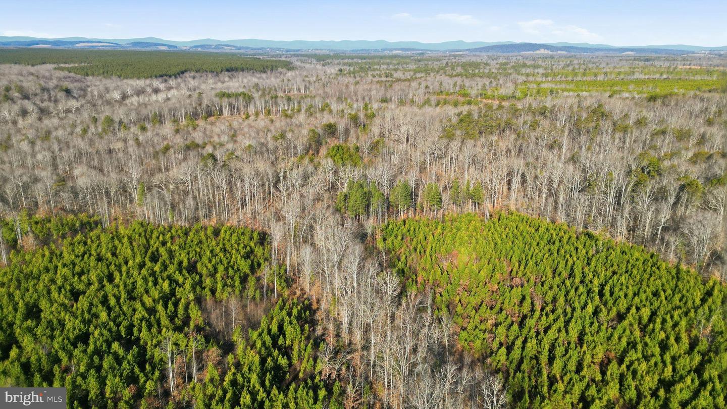 15284 POPLAR RD, ORANGE, Virginia 22960, 4 Bedrooms Bedrooms, ,1 BathroomBathrooms,Farm,For Sale,15284 POPLAR RD,VAOR2013184 MLS # VAOR2013184 15284 POPLAR RD, ORANGE, Virginia 22960, 4 Bedrooms Bedrooms, ,1 BathroomBathrooms,Farm,For Sale,15284 POPLAR RD,VAOR2013184 MLS # VAOR2013184