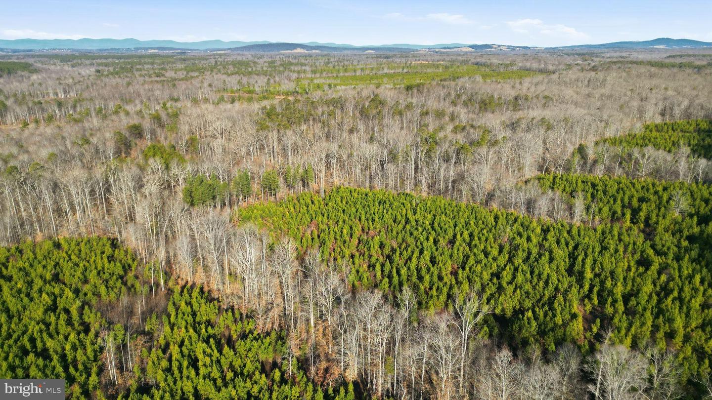 15284 POPLAR RD, ORANGE, Virginia 22960, 4 Bedrooms Bedrooms, ,1 BathroomBathrooms,Farm,For Sale,15284 POPLAR RD,VAOR2013184 MLS # VAOR2013184 15284 POPLAR RD, ORANGE, Virginia 22960, 4 Bedrooms Bedrooms, ,1 BathroomBathrooms,Farm,For Sale,15284 POPLAR RD,VAOR2013184 MLS # VAOR2013184