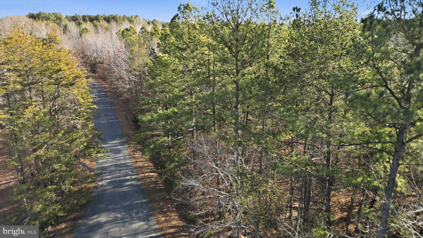 15284 POPLAR RD, ORANGE, Virginia 22960, 4 Bedrooms Bedrooms, ,1 BathroomBathrooms,Farm,For Sale,15284 POPLAR RD,VAOR2013184 MLS # VAOR2013184 15284 POPLAR RD, ORANGE, Virginia 22960, 4 Bedrooms Bedrooms, ,1 BathroomBathrooms,Farm,For Sale,15284 POPLAR RD,VAOR2013184 MLS # VAOR2013184