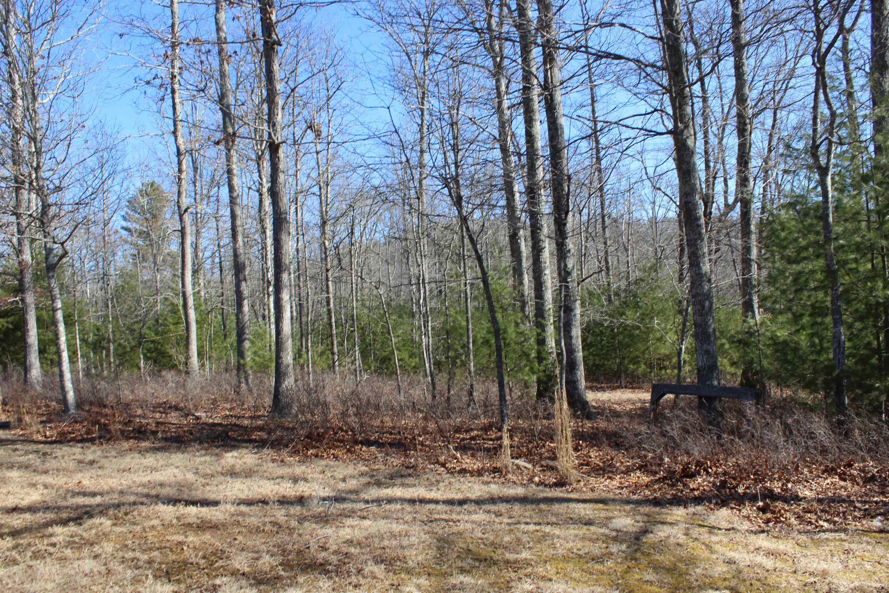 625 HUMMINGBIRD LN, MONTEREY, Virginia 24465, 3 Bedrooms Bedrooms, ,3 BathroomsBathrooms,Residential,14,625 HUMMINGBIRD LN,673771 MLS # 673771