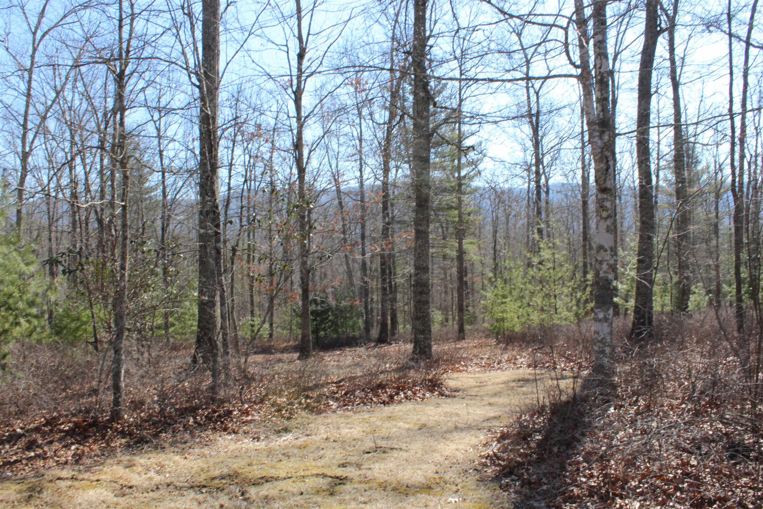 625 HUMMINGBIRD LN, MONTEREY, Virginia 24465, 3 Bedrooms Bedrooms, ,3 BathroomsBathrooms,Residential,14,625 HUMMINGBIRD LN,673771 MLS # 673771