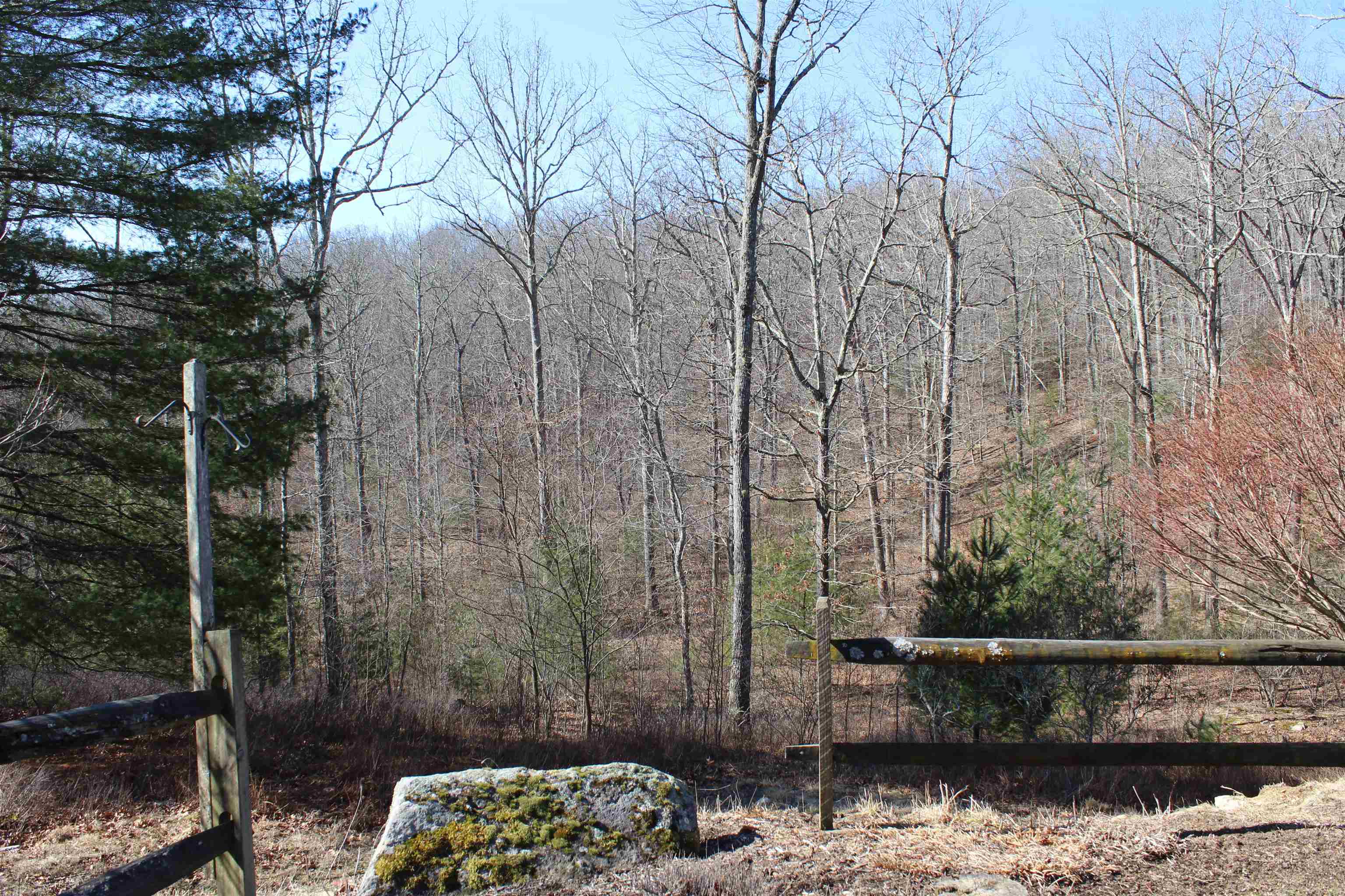 625 HUMMINGBIRD LN, MONTEREY, Virginia 24465, 3 Bedrooms Bedrooms, ,3 BathroomsBathrooms,Residential,14,625 HUMMINGBIRD LN,673771 MLS # 673771