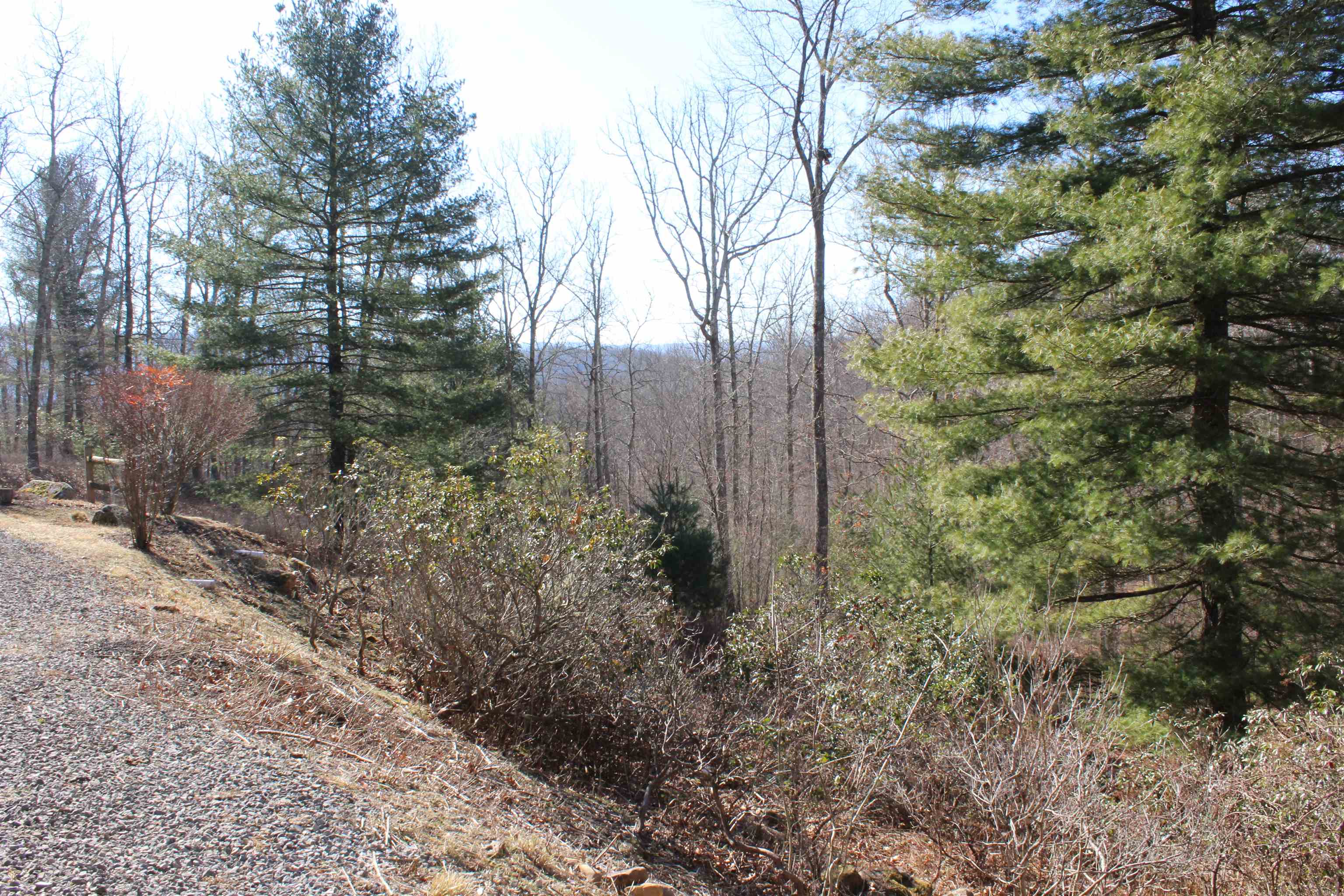 625 HUMMINGBIRD LN, MONTEREY, Virginia 24465, 3 Bedrooms Bedrooms, ,3 BathroomsBathrooms,Residential,14,625 HUMMINGBIRD LN,673771 MLS # 673771