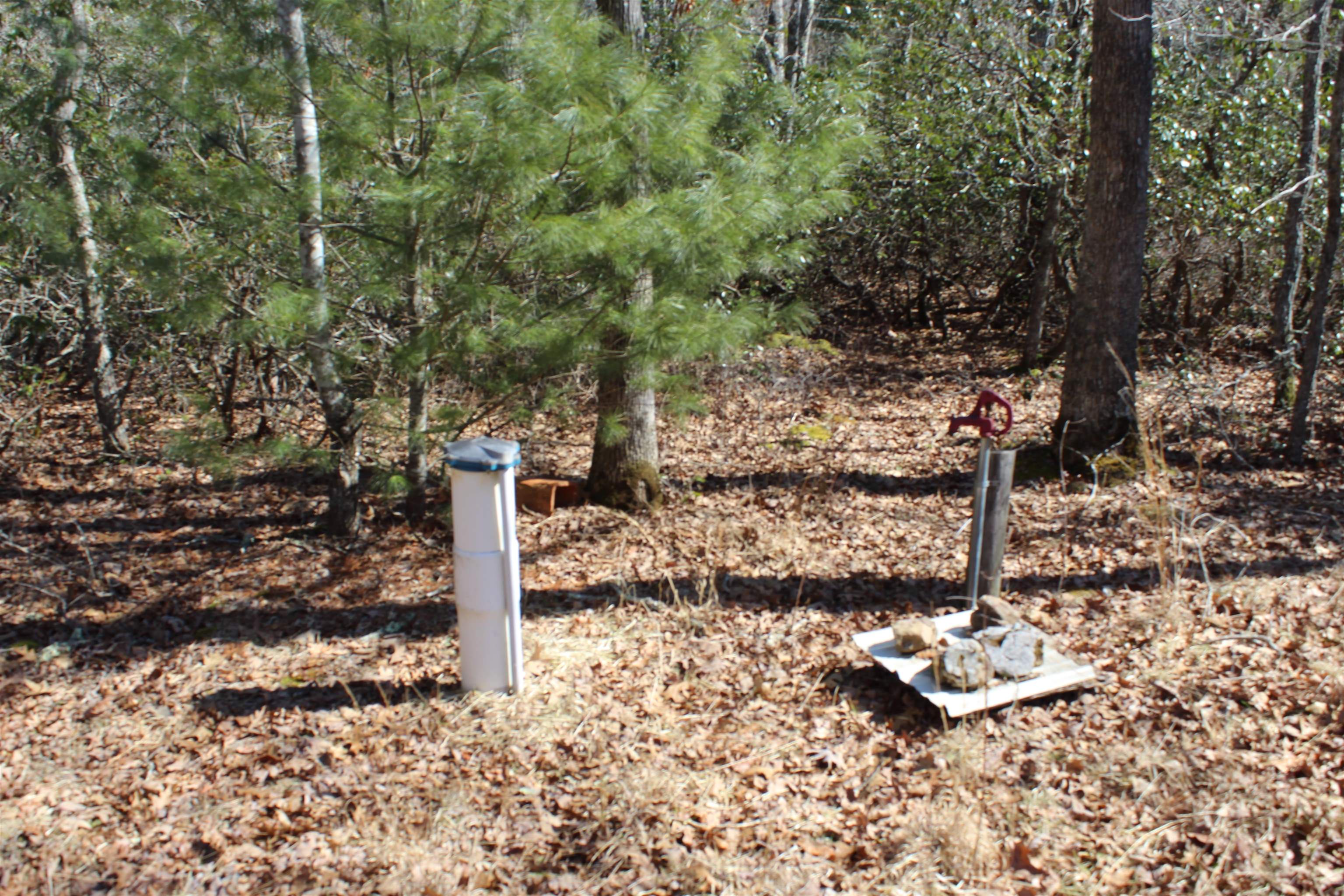 625 HUMMINGBIRD LN, MONTEREY, Virginia 24465, 3 Bedrooms Bedrooms, ,3 BathroomsBathrooms,Residential,14,625 HUMMINGBIRD LN,673771 MLS # 673771