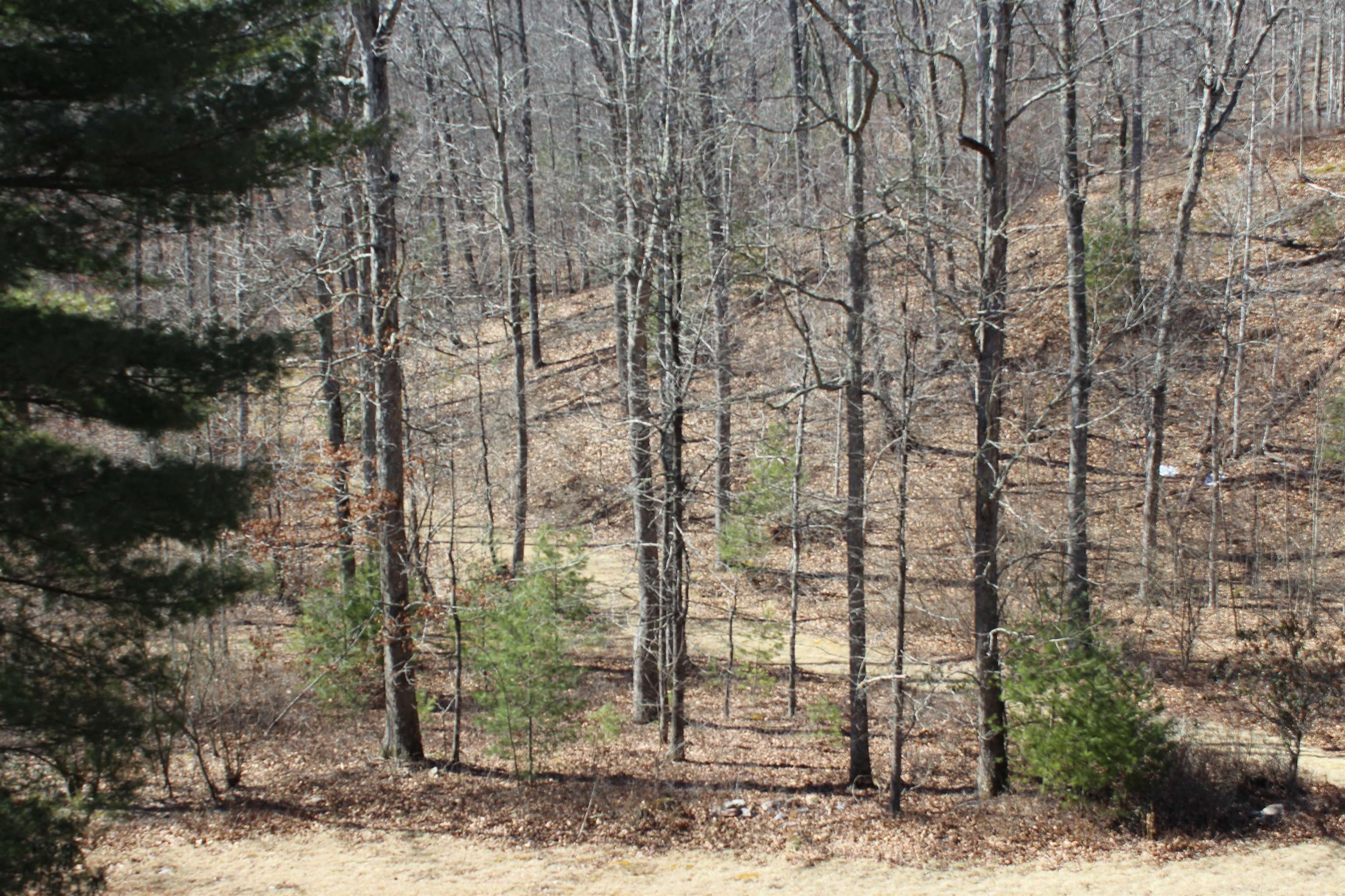 625 HUMMINGBIRD LN, MONTEREY, Virginia 24465, 3 Bedrooms Bedrooms, ,3 BathroomsBathrooms,Residential,14,625 HUMMINGBIRD LN,673771 MLS # 673771