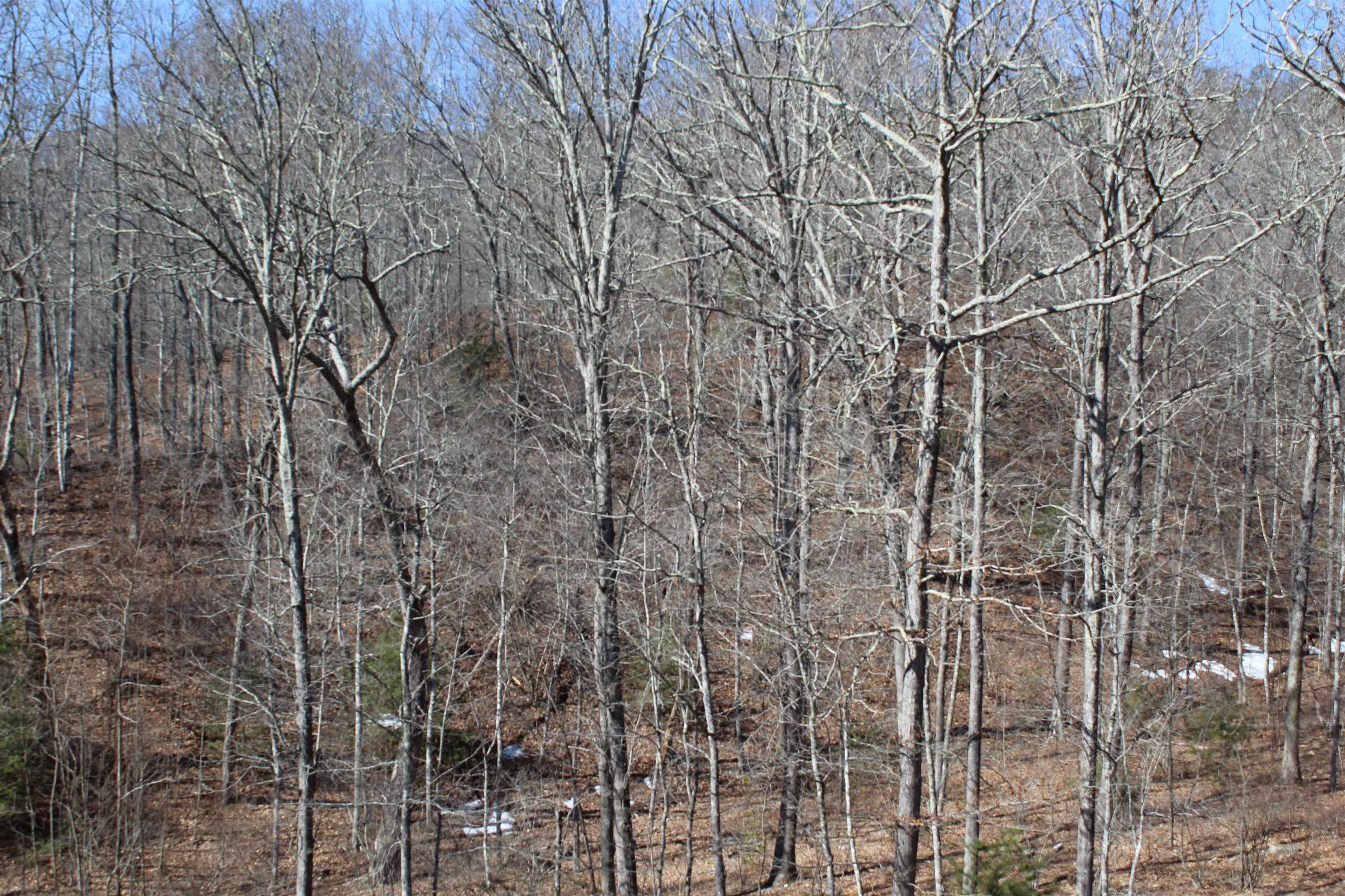 625 HUMMINGBIRD LN, MONTEREY, Virginia 24465, 3 Bedrooms Bedrooms, ,3 BathroomsBathrooms,Residential,14,625 HUMMINGBIRD LN,673771 MLS # 673771