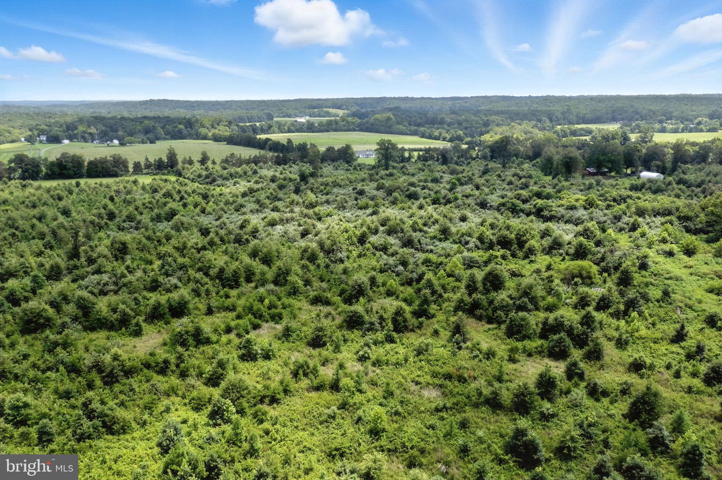 18172 YOUNGS LN, ELKWOOD, Virginia 22718, 3 Bedrooms Bedrooms, ,1 BathroomBathrooms,Residential,For Sale,18172 YOUNGS LN,VACU2012788 MLS # VACU2012788