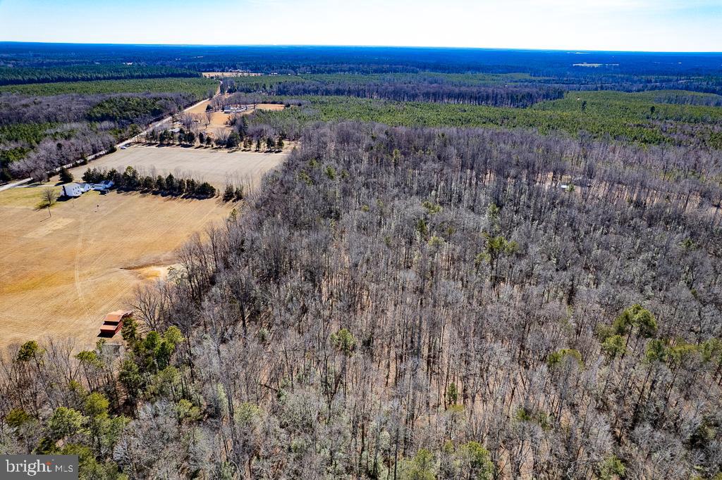 49.26 ACRES JERICHO RD, RUTHER GLEN, Virginia 22546, ,Land,For Sale,49.26 ACRES JERICHO RD,VACV2009540 MLS # VACV2009540