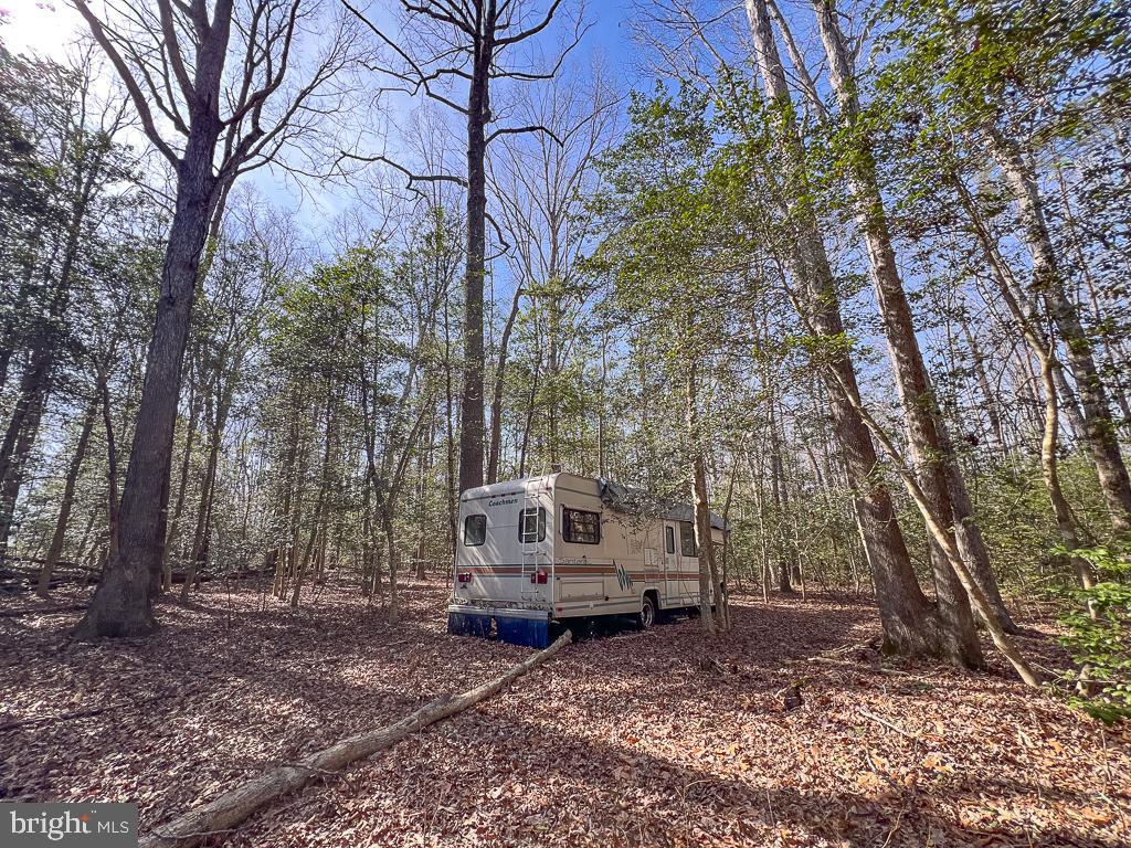 49.26 ACRES JERICHO RD, RUTHER GLEN, Virginia 22546, ,Land,For Sale,49.26 ACRES JERICHO RD,VACV2009540 MLS # VACV2009540