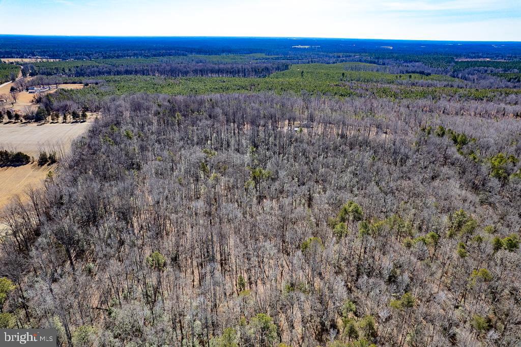 49.26 ACRES JERICHO RD, RUTHER GLEN, Virginia 22546, ,Land,For Sale,49.26 ACRES JERICHO RD,VACV2009540 MLS # VACV2009540