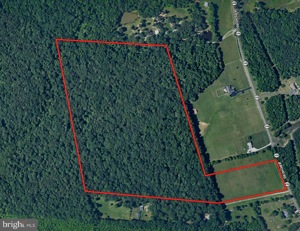 49.26 ACRES JERICHO RD, RUTHER GLEN, Virginia 22546, ,Land,For Sale,49.26 ACRES JERICHO RD,VACV2009540 MLS # VACV2009540