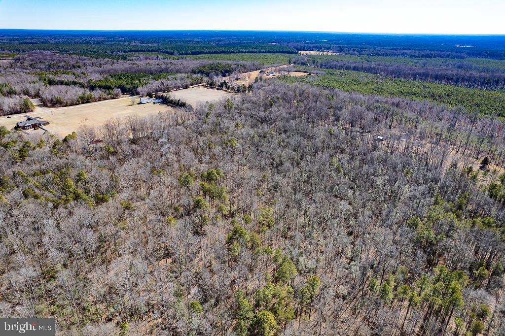 49.26 ACRES JERICHO RD, RUTHER GLEN, Virginia 22546, ,Land,For Sale,49.26 ACRES JERICHO RD,VACV2009540 MLS # VACV2009540