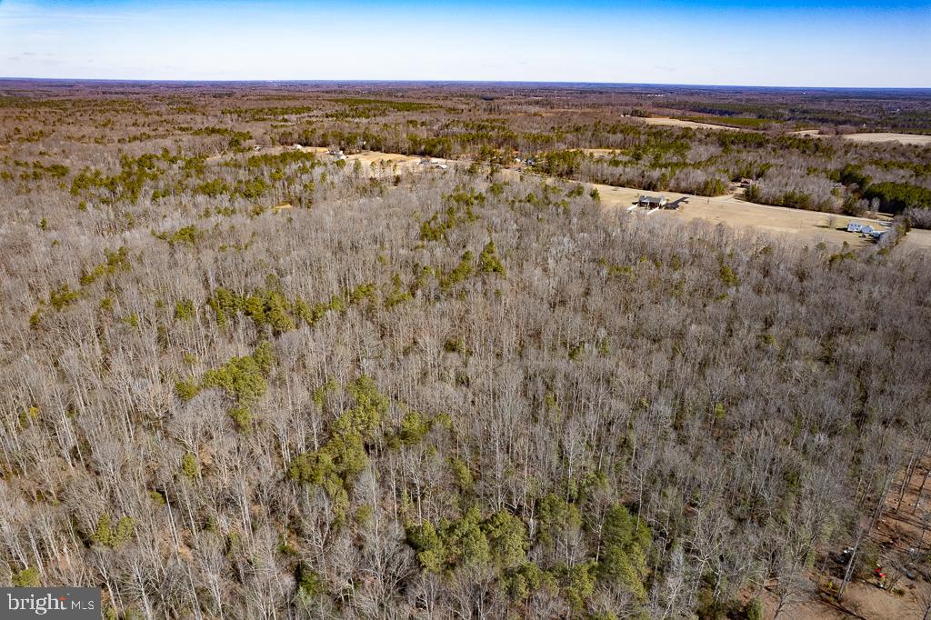 49.26 ACRES JERICHO RD, RUTHER GLEN, Virginia 22546, ,Land,For Sale,49.26 ACRES JERICHO RD,VACV2009540 MLS # VACV2009540