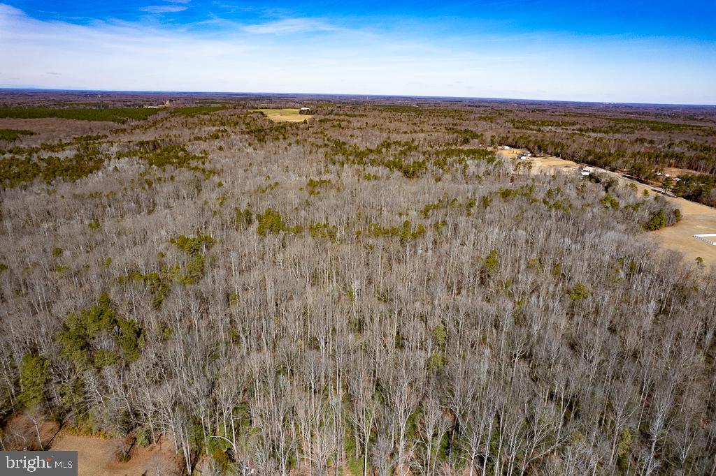 49.26 ACRES JERICHO RD, RUTHER GLEN, Virginia 22546, ,Land,For Sale,49.26 ACRES JERICHO RD,VACV2009540 MLS # VACV2009540