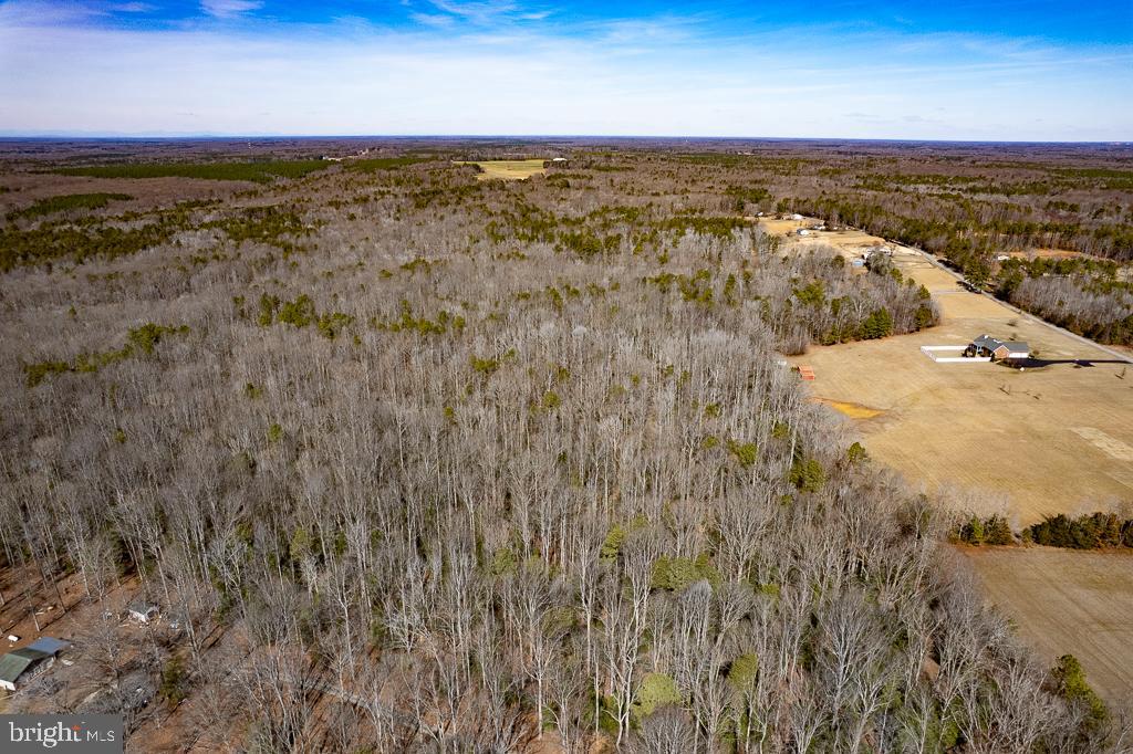 49.26 ACRES JERICHO RD, RUTHER GLEN, Virginia 22546, ,Land,For Sale,49.26 ACRES JERICHO RD,VACV2009540 MLS # VACV2009540