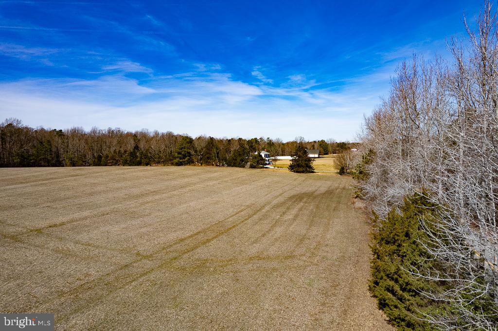 49.26 ACRES JERICHO RD, RUTHER GLEN, Virginia 22546, ,Land,For Sale,49.26 ACRES JERICHO RD,VACV2009540 MLS # VACV2009540