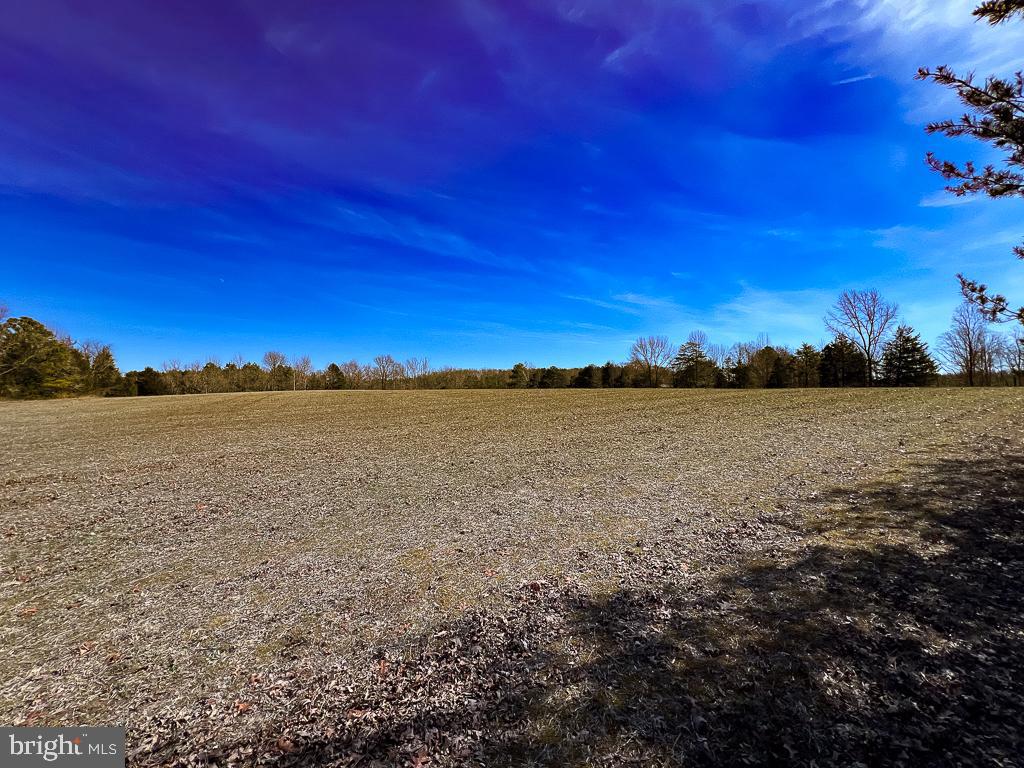 49.26 ACRES JERICHO RD, RUTHER GLEN, Virginia 22546, ,Land,For Sale,49.26 ACRES JERICHO RD,VACV2009540 MLS # VACV2009540
