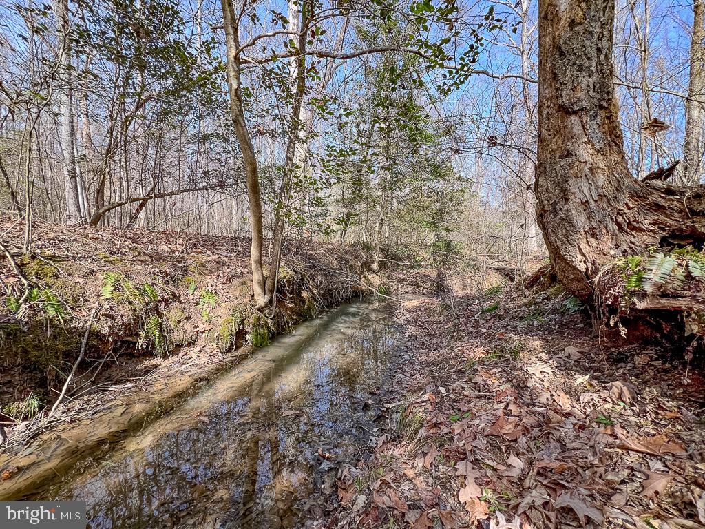 49.26 ACRES JERICHO RD, RUTHER GLEN, Virginia 22546, ,Land,For Sale,49.26 ACRES JERICHO RD,VACV2009540 MLS # VACV2009540