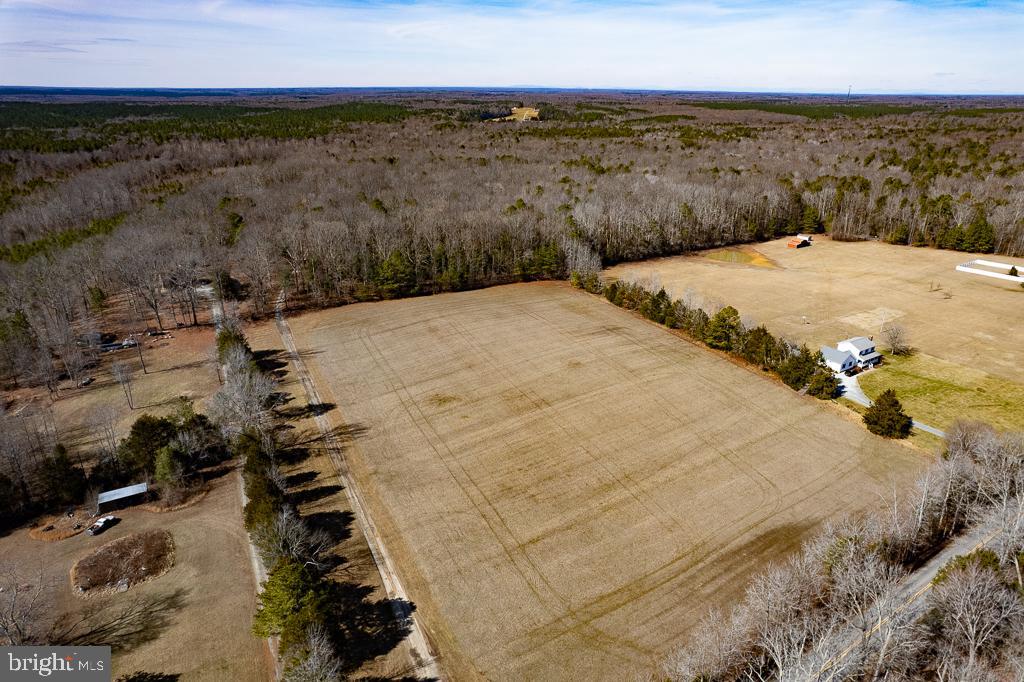 49.26 ACRES JERICHO RD, RUTHER GLEN, Virginia 22546, ,Land,For Sale,49.26 ACRES JERICHO RD,VACV2009540 MLS # VACV2009540